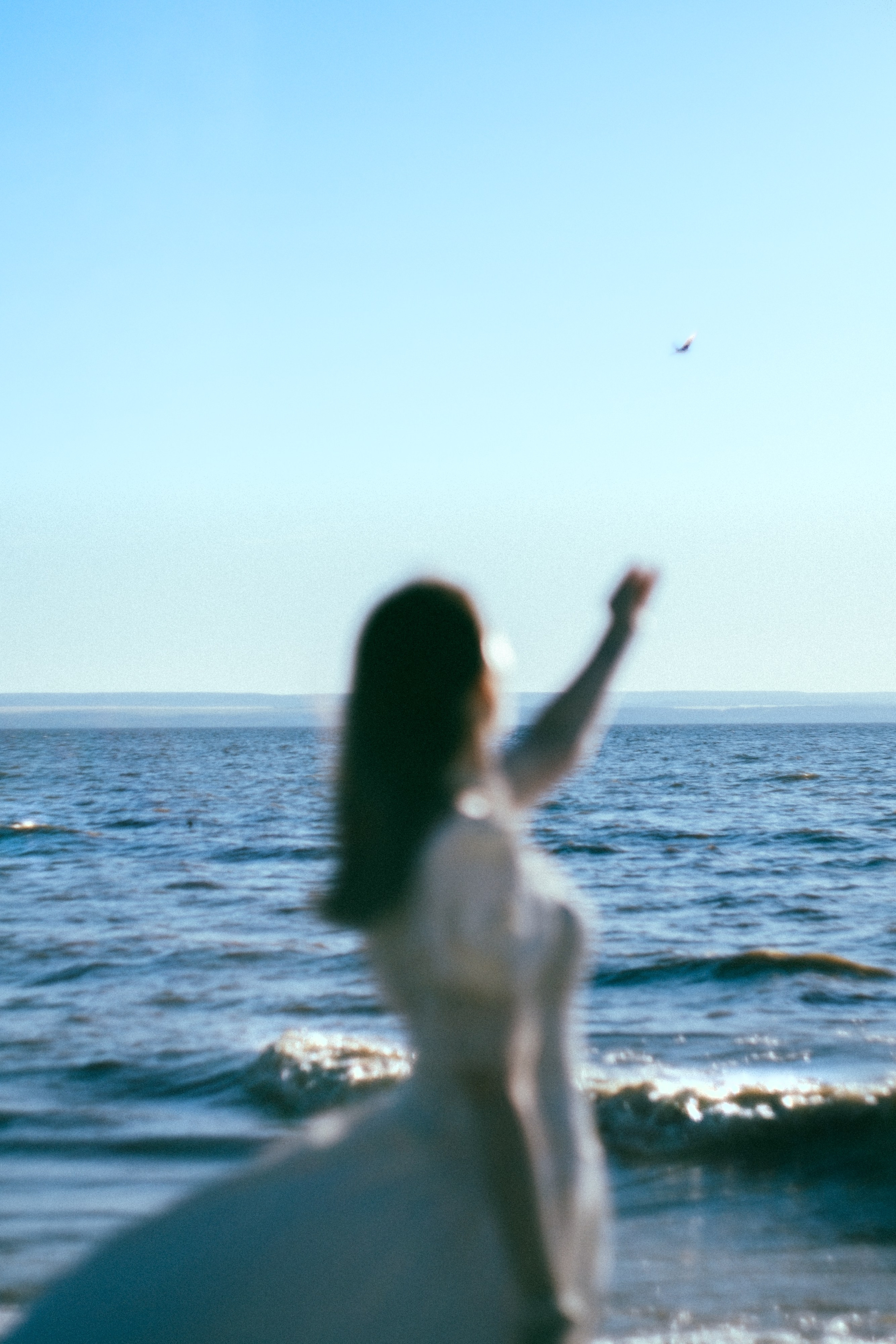 А на небе только и разговоров, что о море и о закате. Дмитрий Пропадалин, Нейрофотография