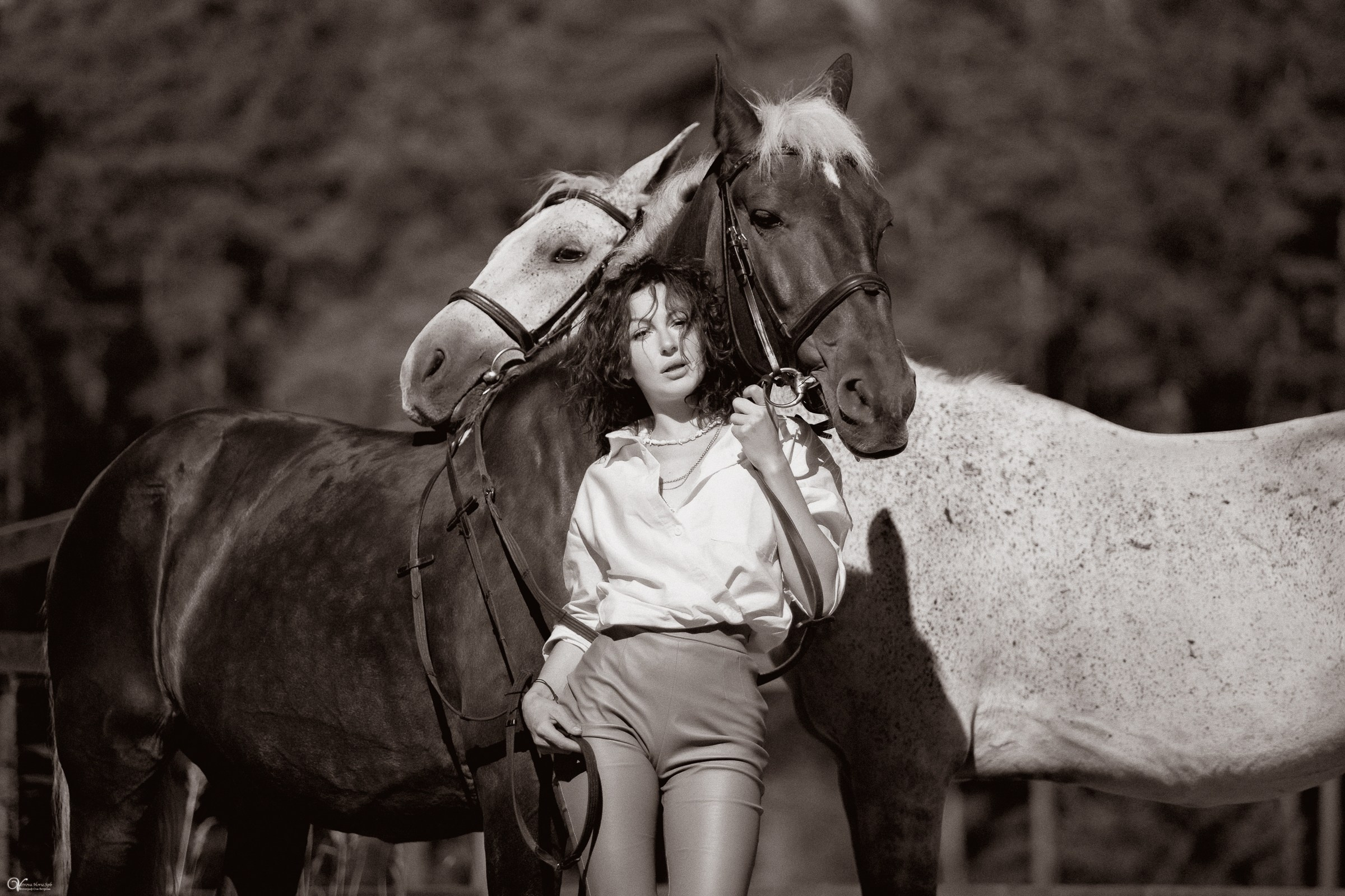 Фотосессия с лошадьми в катри-стиле. Фотограф женский и мужской портрет Санкт-Петербург