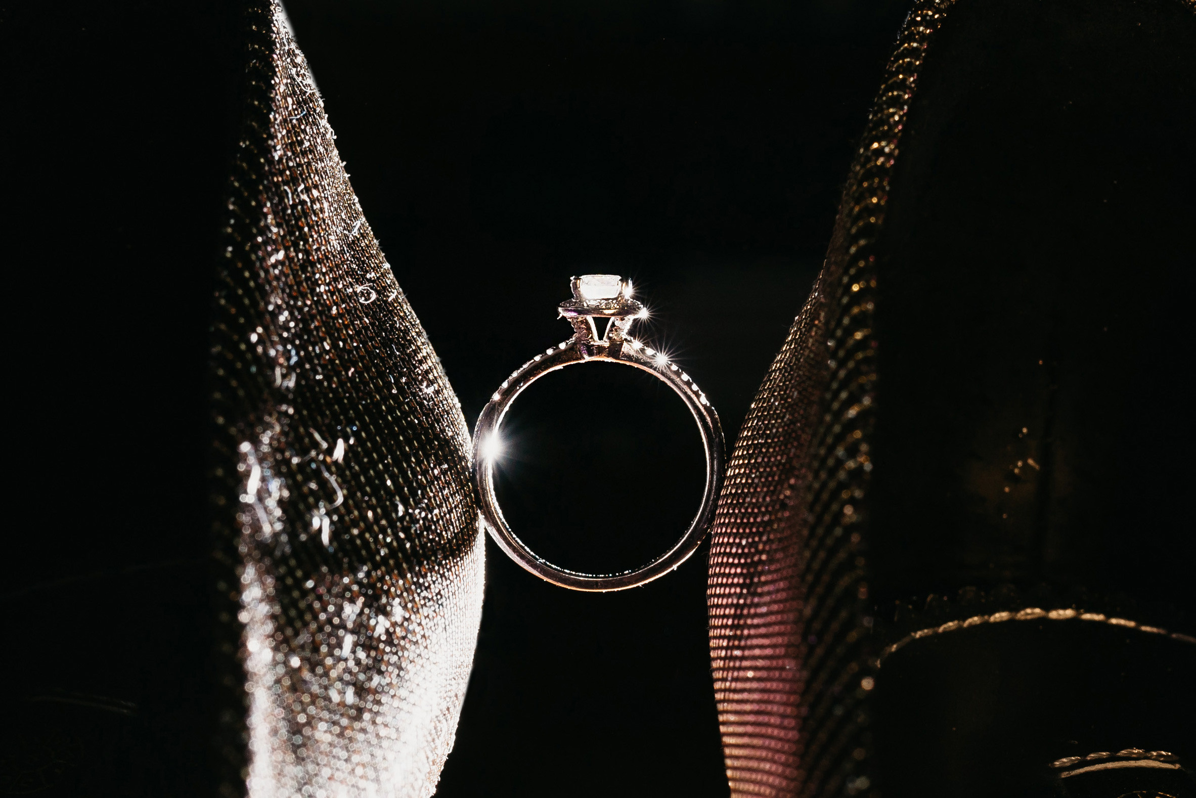 Шоу. Свадебный фотограф в Санкт-Петербурге Игорь Бабенко