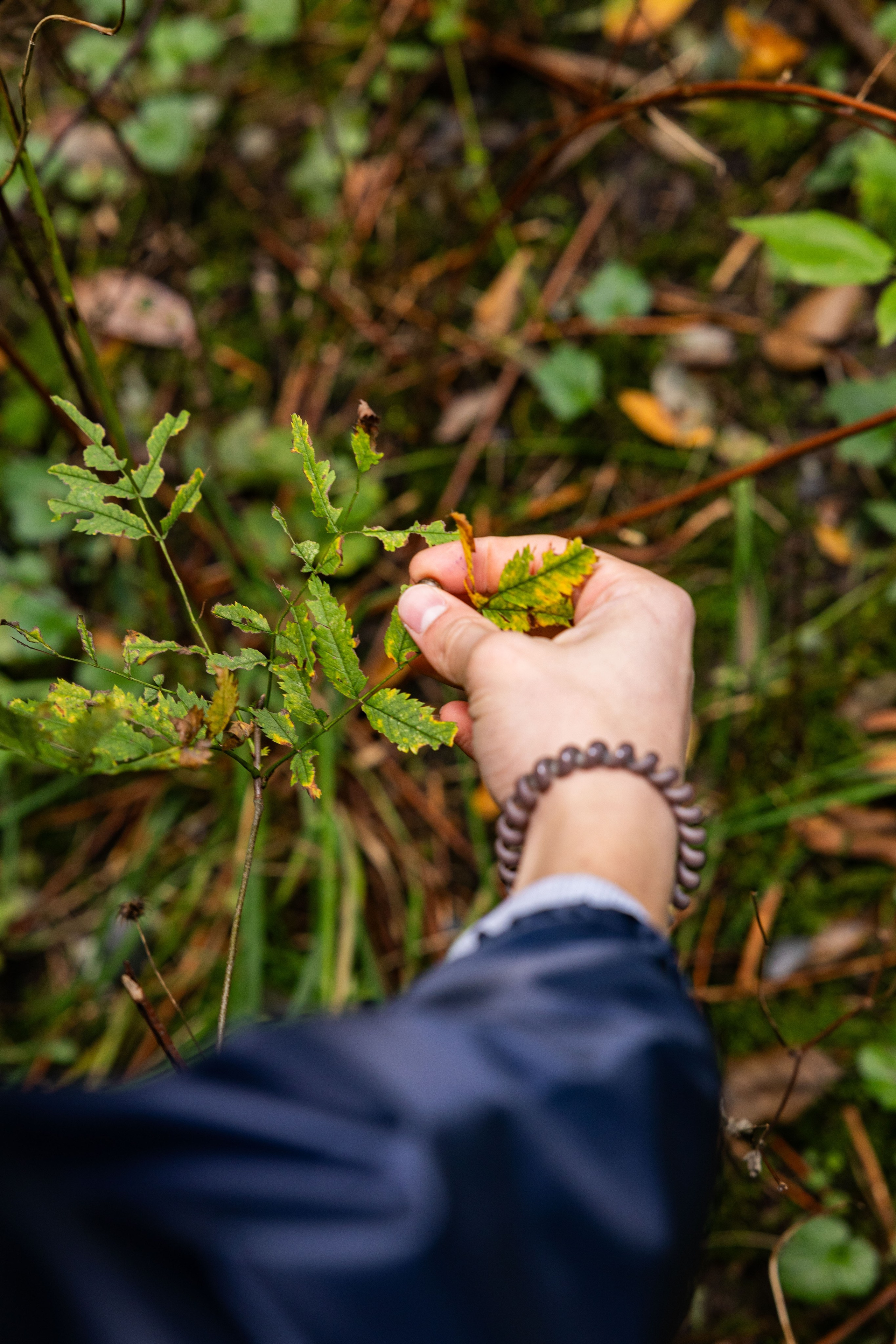 Зеленый пластик. Западный Котлин. Фотограф/видеограф в Санкт-Петербурге Динара Гольдина