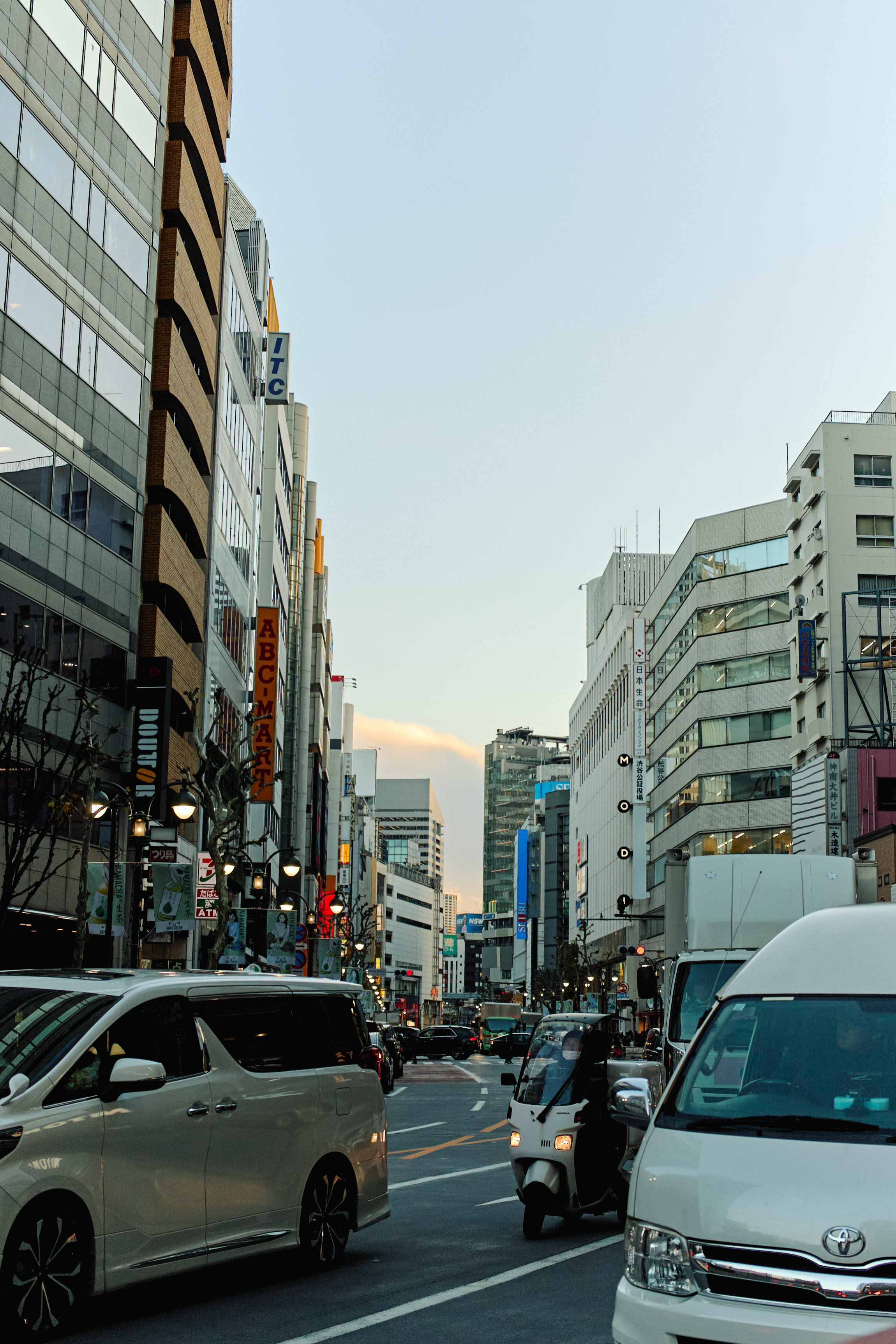 Япония. Профессиональный Фотограф во Владимире, в Москве и в Суздале — Полина Романычева