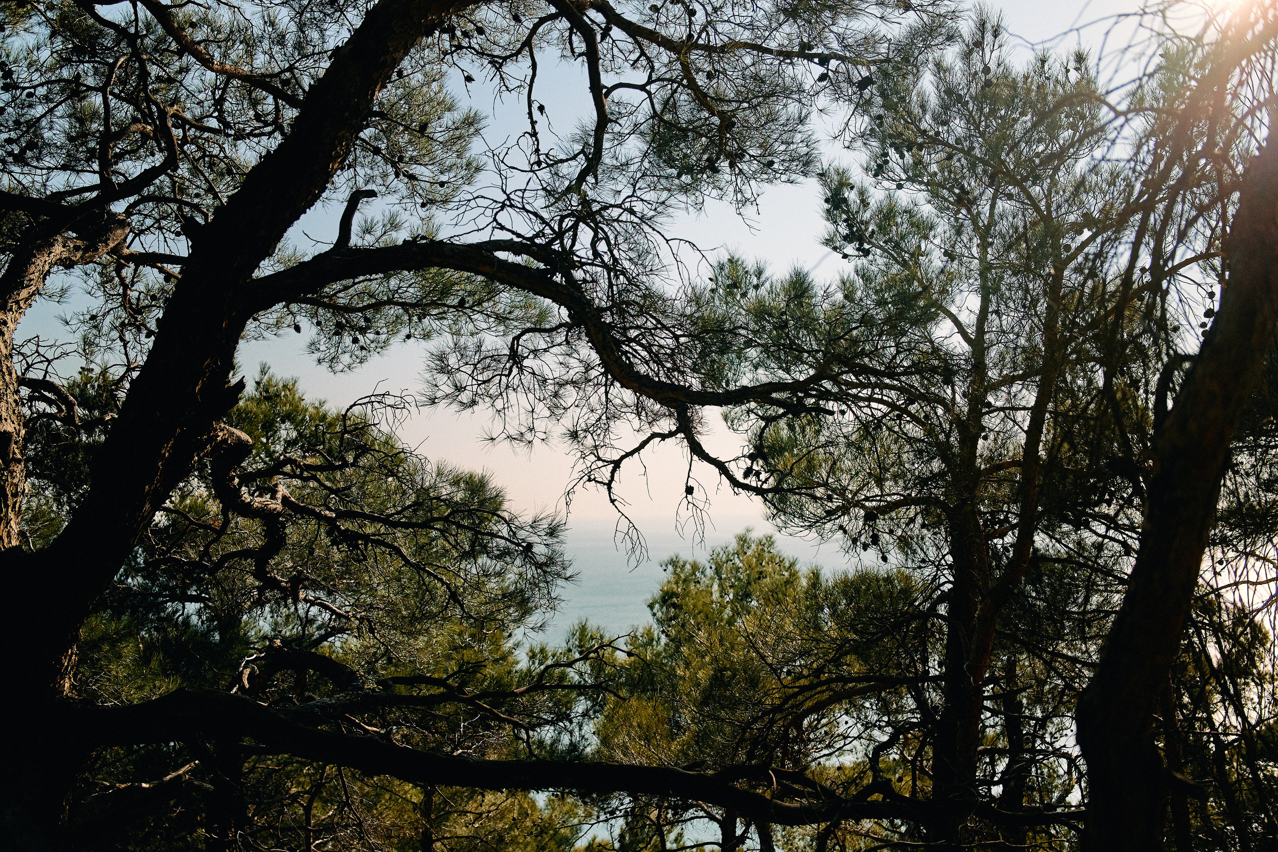 Юг России. Профессиональный Фотограф во Владимире, в Москве и в Суздале — Полина Романычева