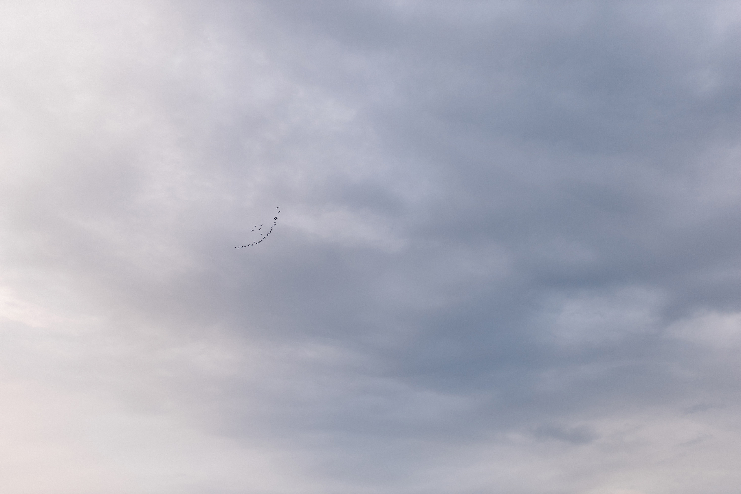 Дима & Кристина