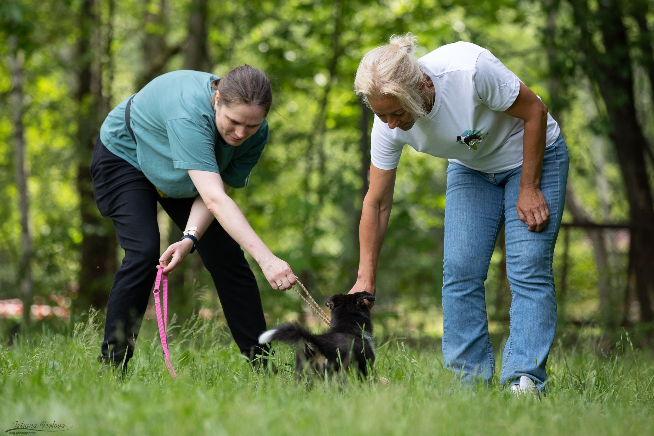 Репортаж с выводки молодняка колли/шелти в Ясенево. Фотограф-анималист в Москве и Московской области Татьяна Фролова