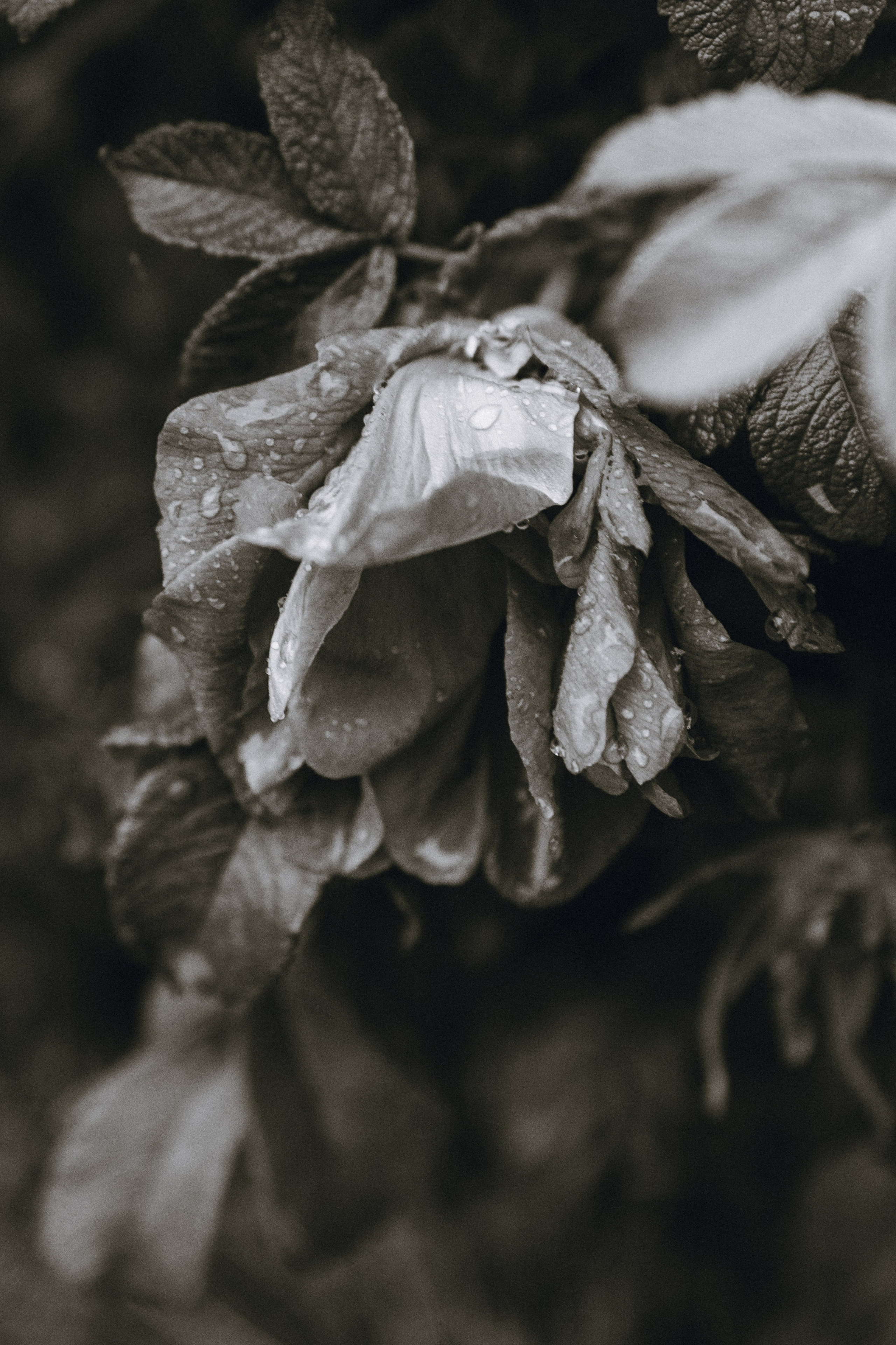 Атмосфера. Sambadmaeva