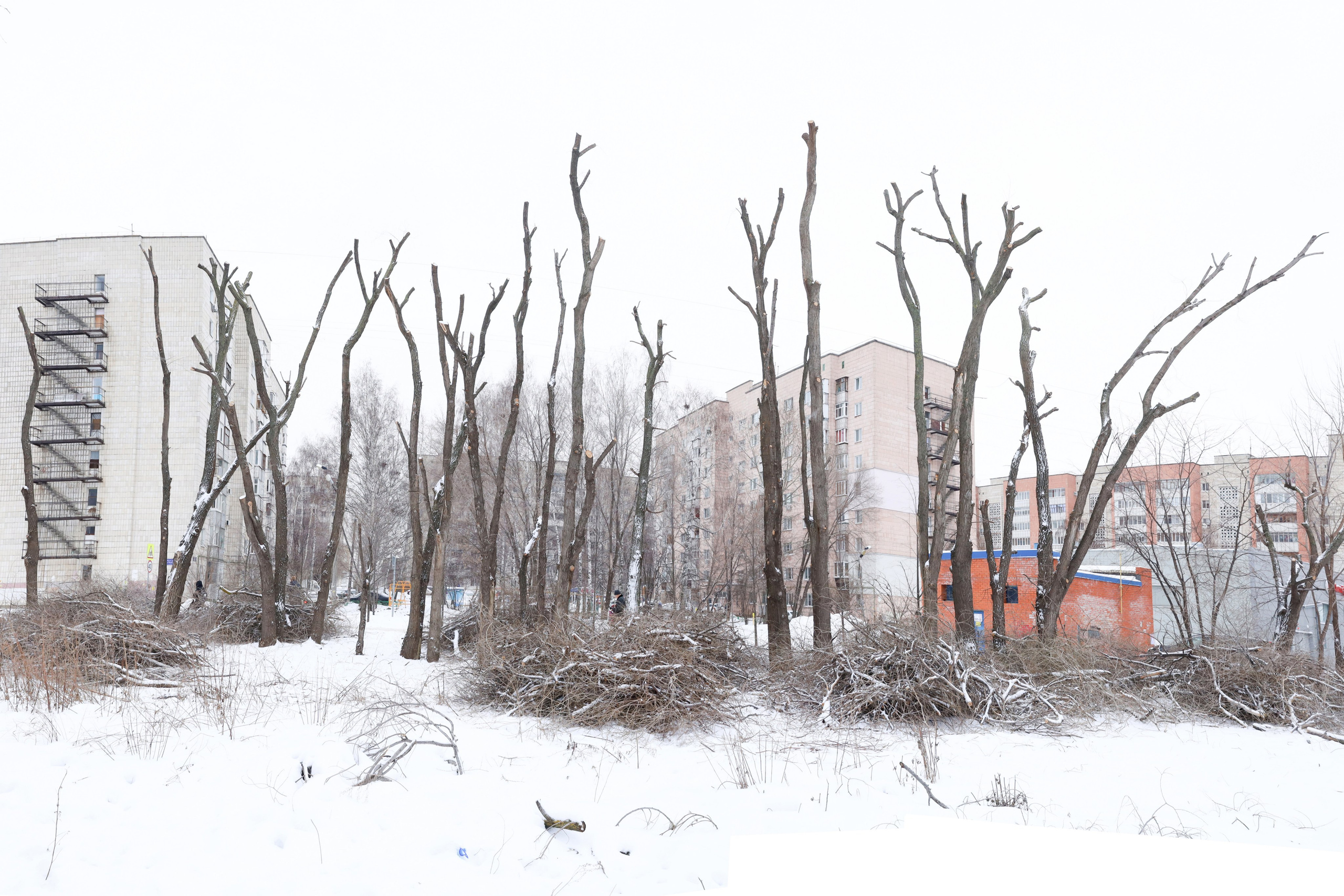 Кронирование. Главная