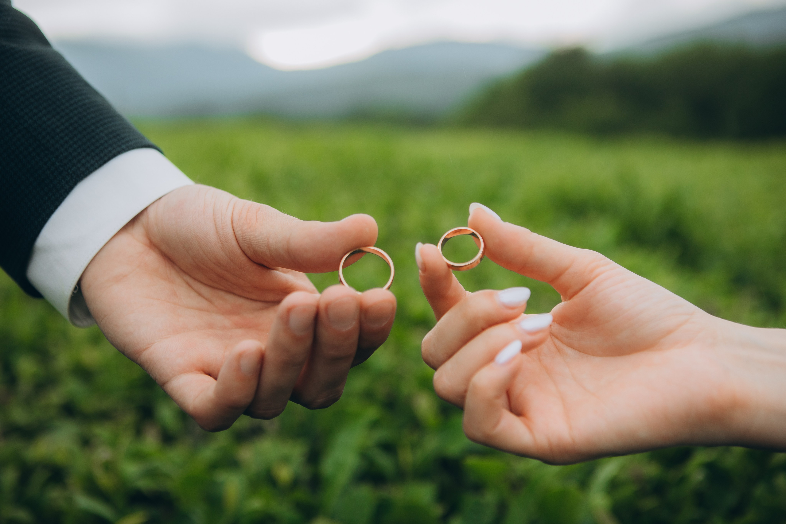 Чайные плантации. Семейный и свадебный фотограф Сочи Адлер Сириус Красная поляна