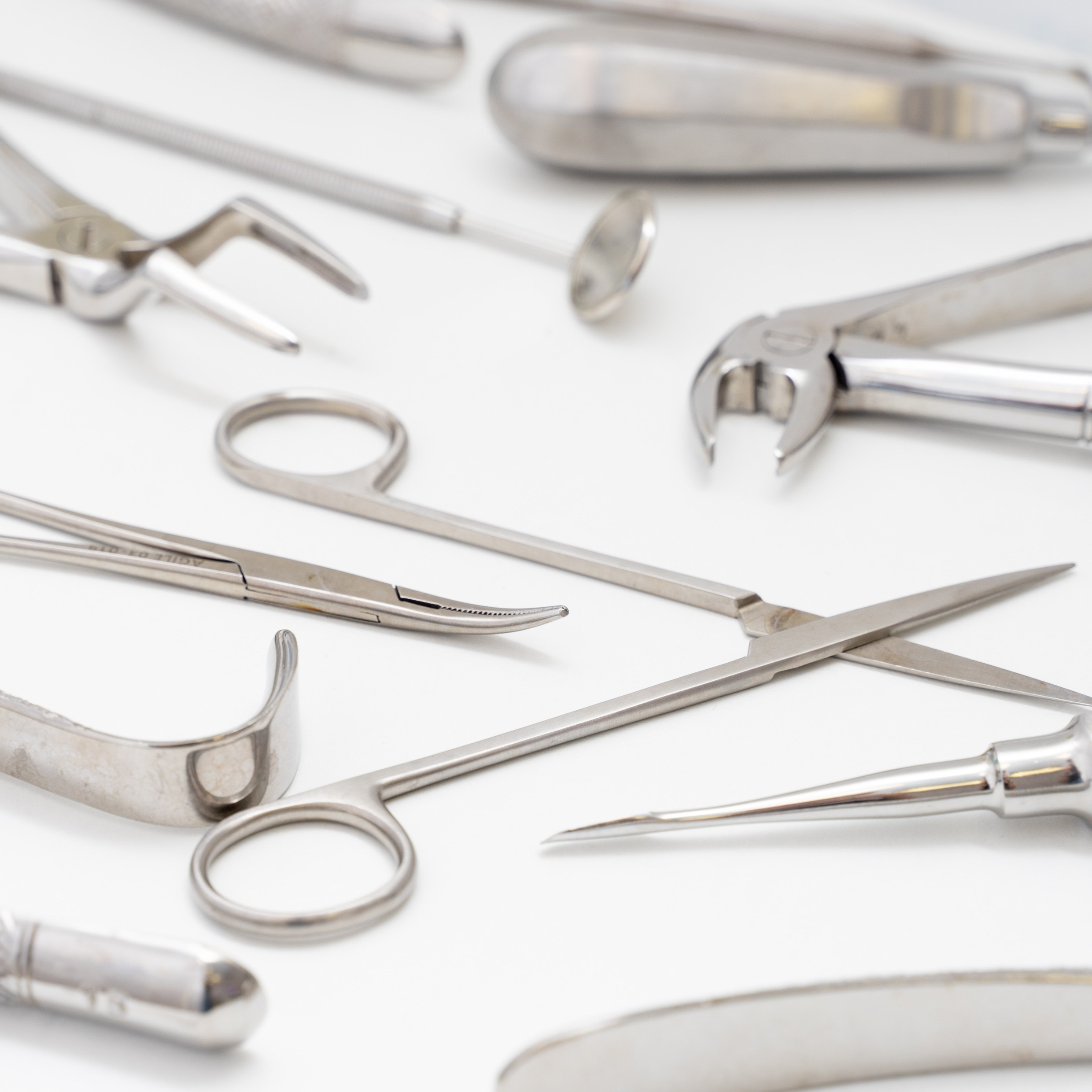 Предметка. Фотограф Миланазавр