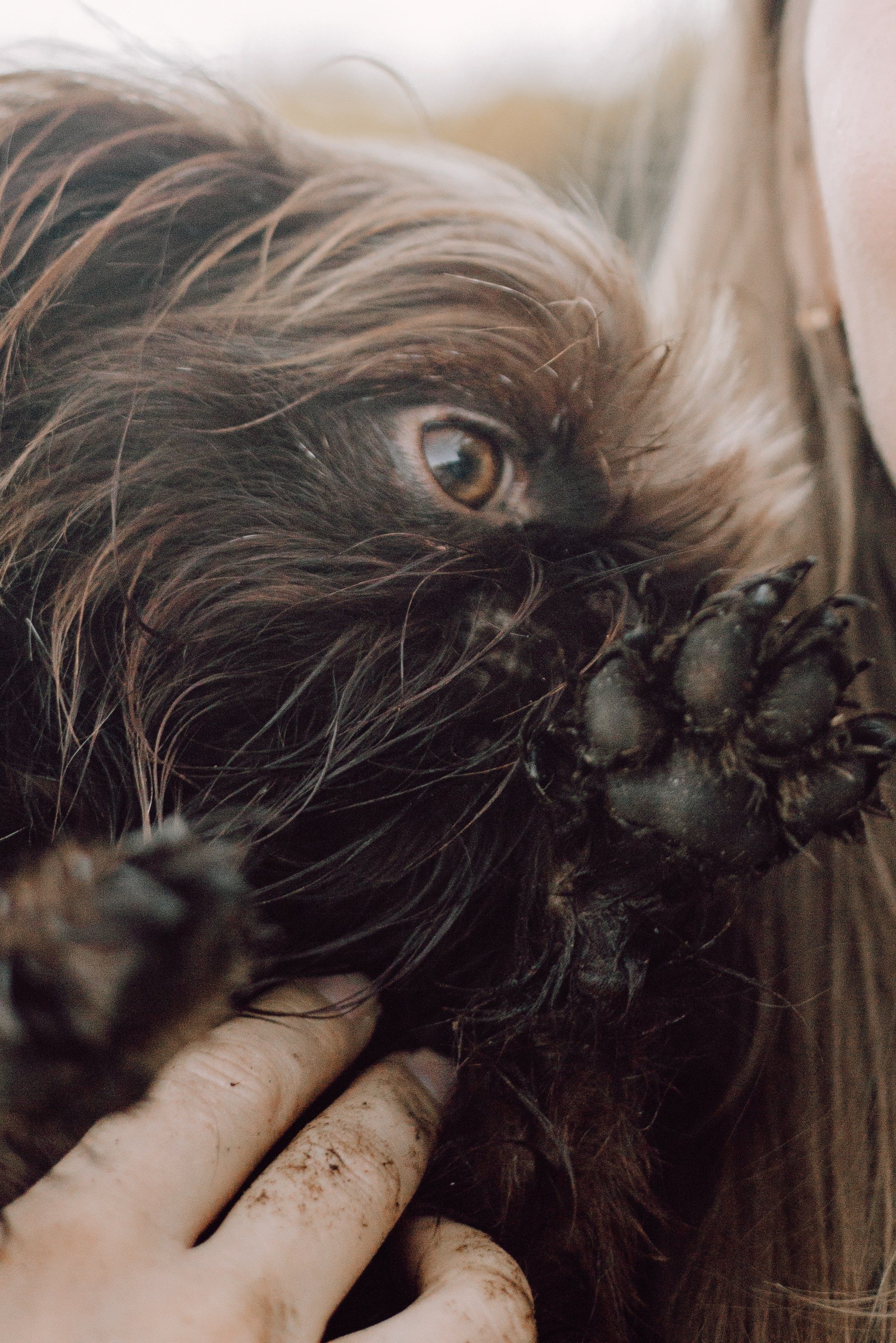 Катерина & Лунка. Фотограф — анималист •love-story•|Санкт-Петербург