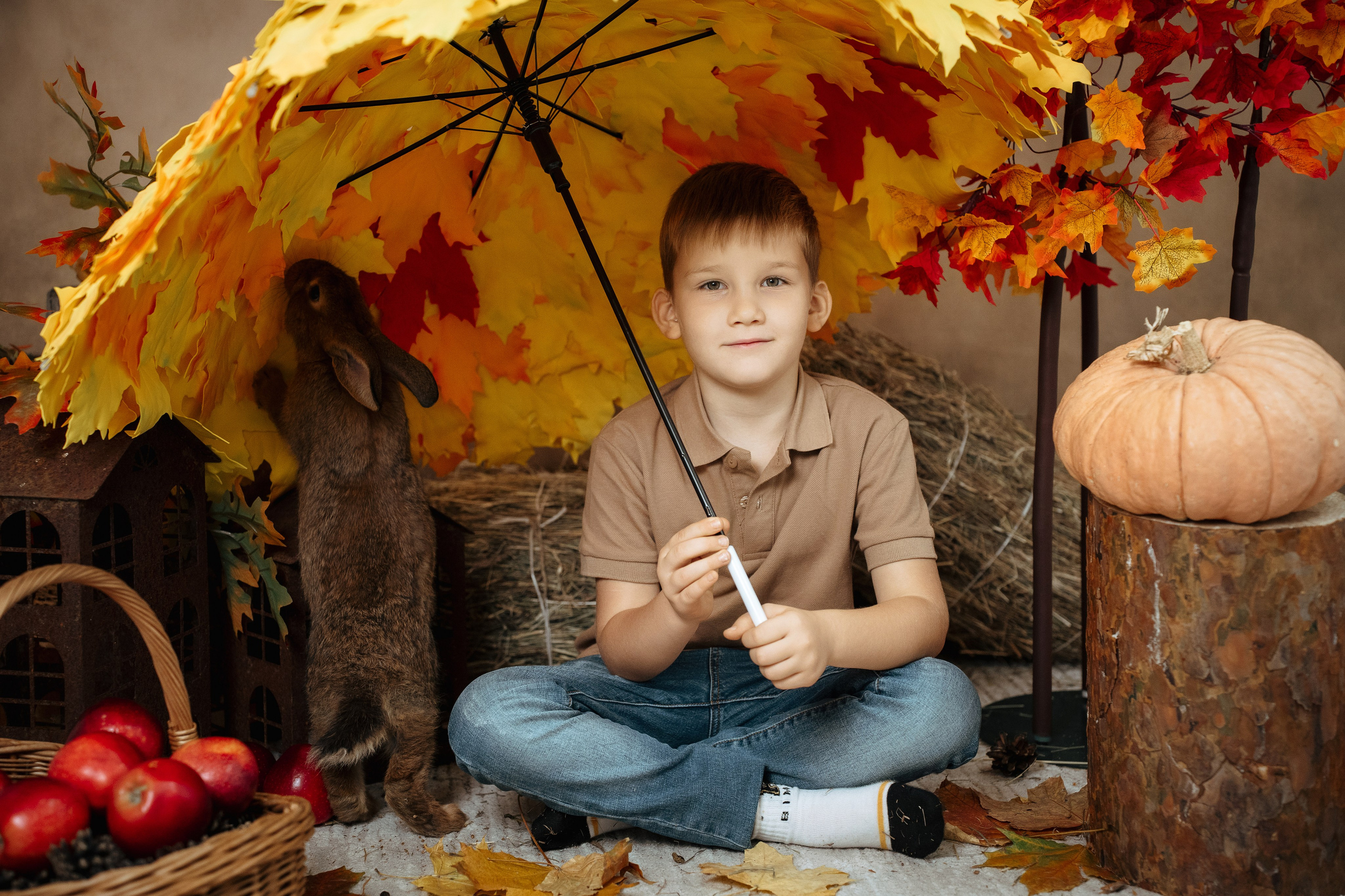 Ёжик. Фотограф Казакова Анастасия