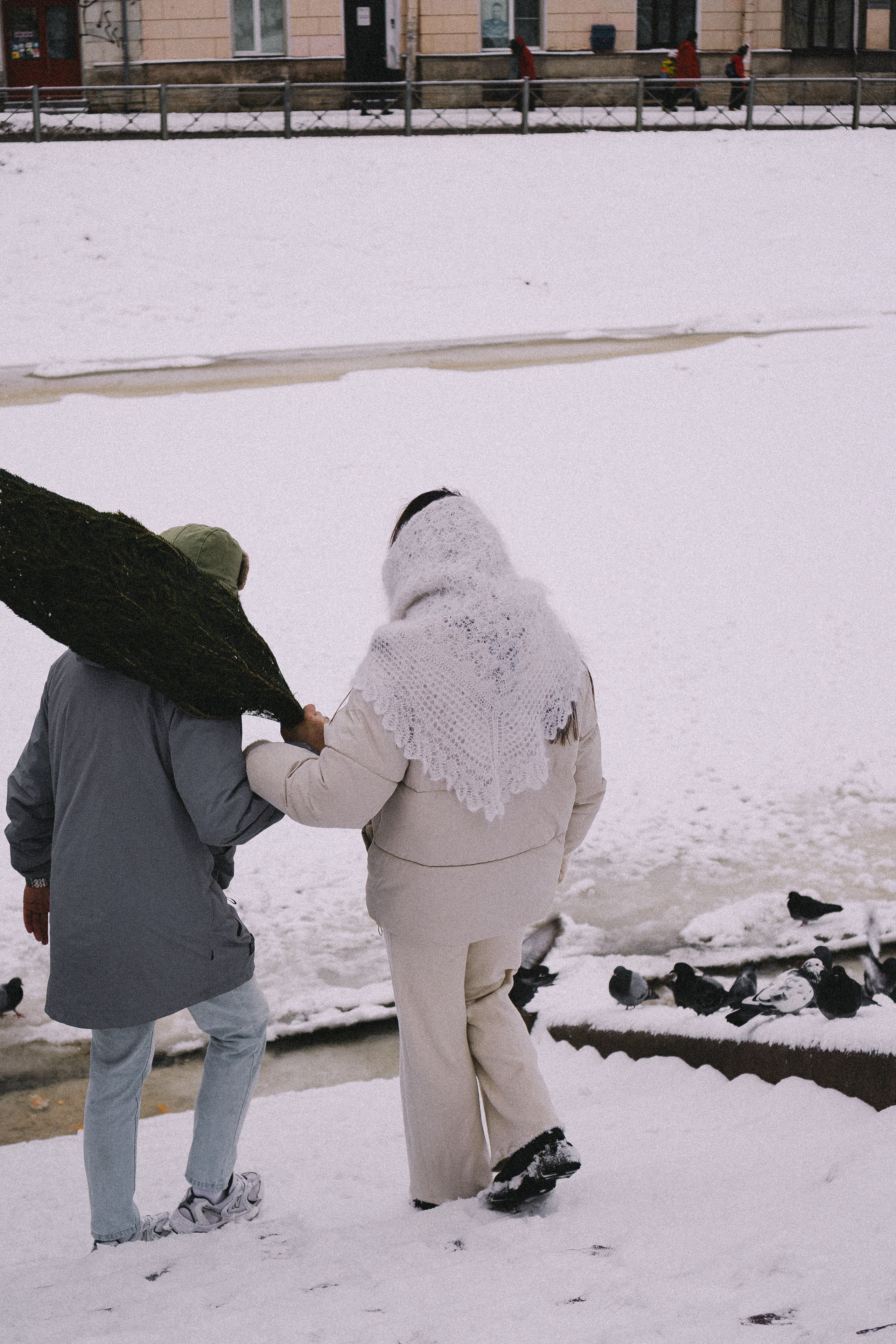 Зимняя история. Профессиональный фотограф, Санкт-Петербург — Виктория Богомолова