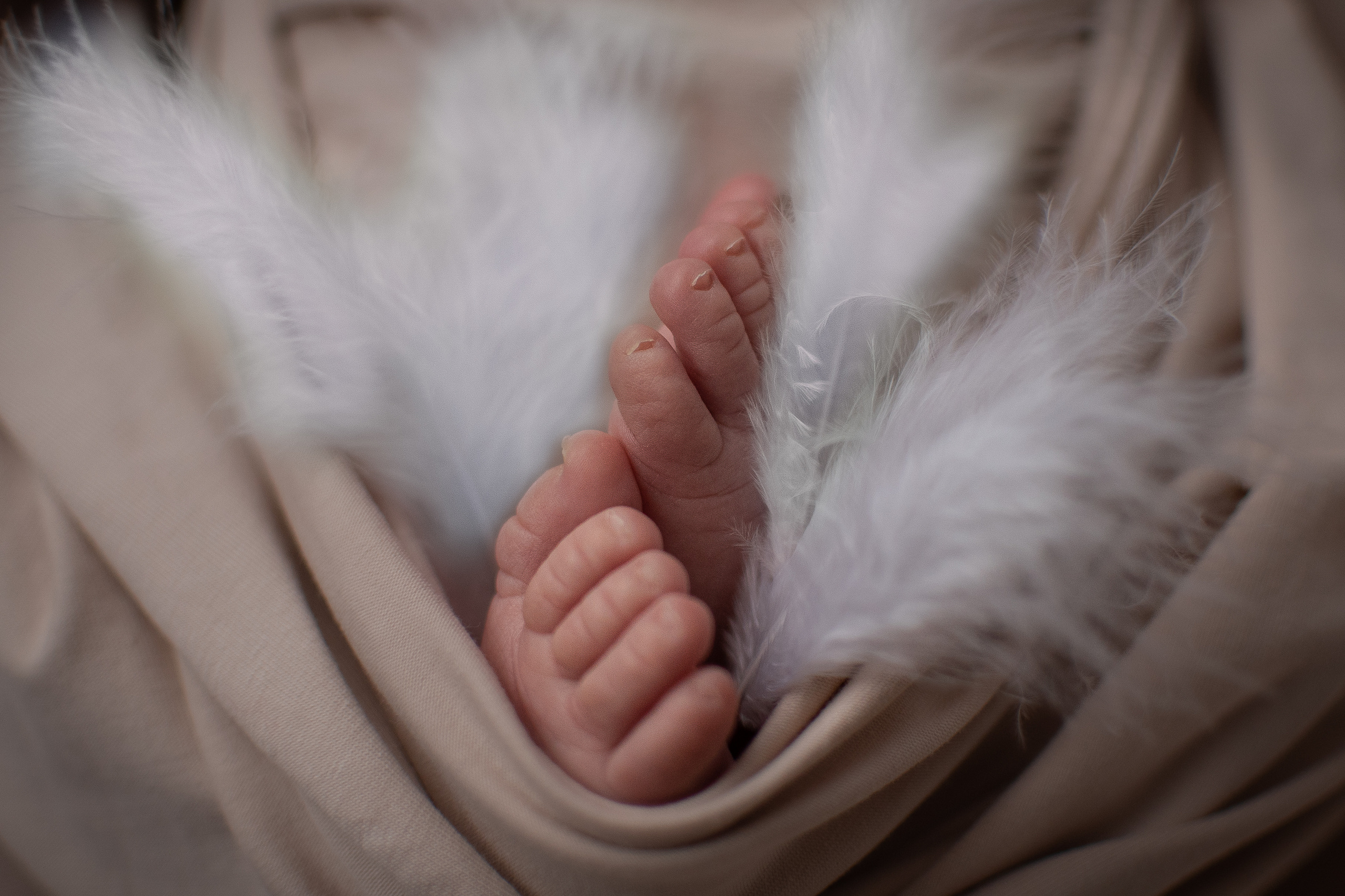 ✨. Профессиональный фотограф новорожденных Тверь