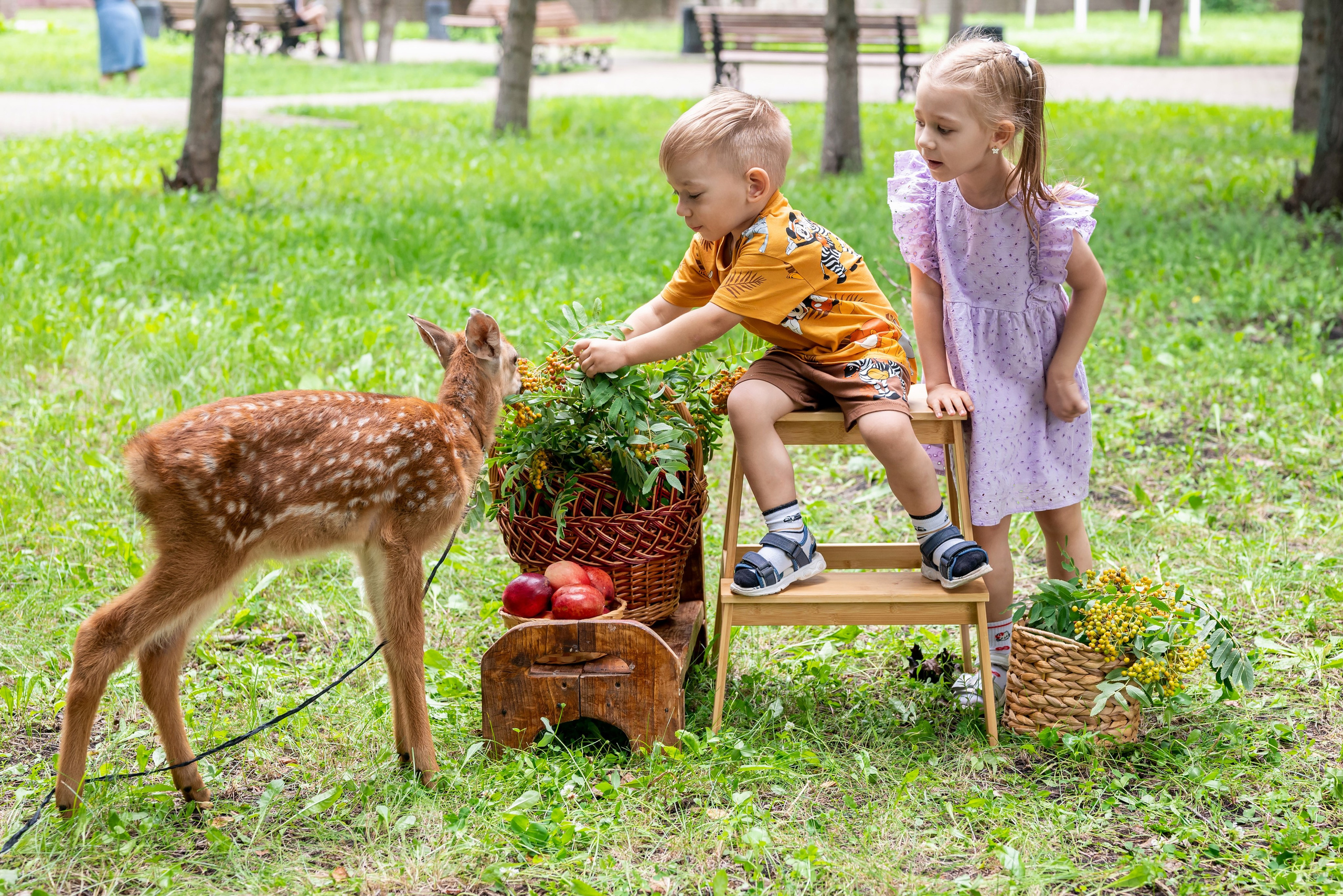 Фотопроект *Оленёнок Бэмби*. Фотограф в городе Салават