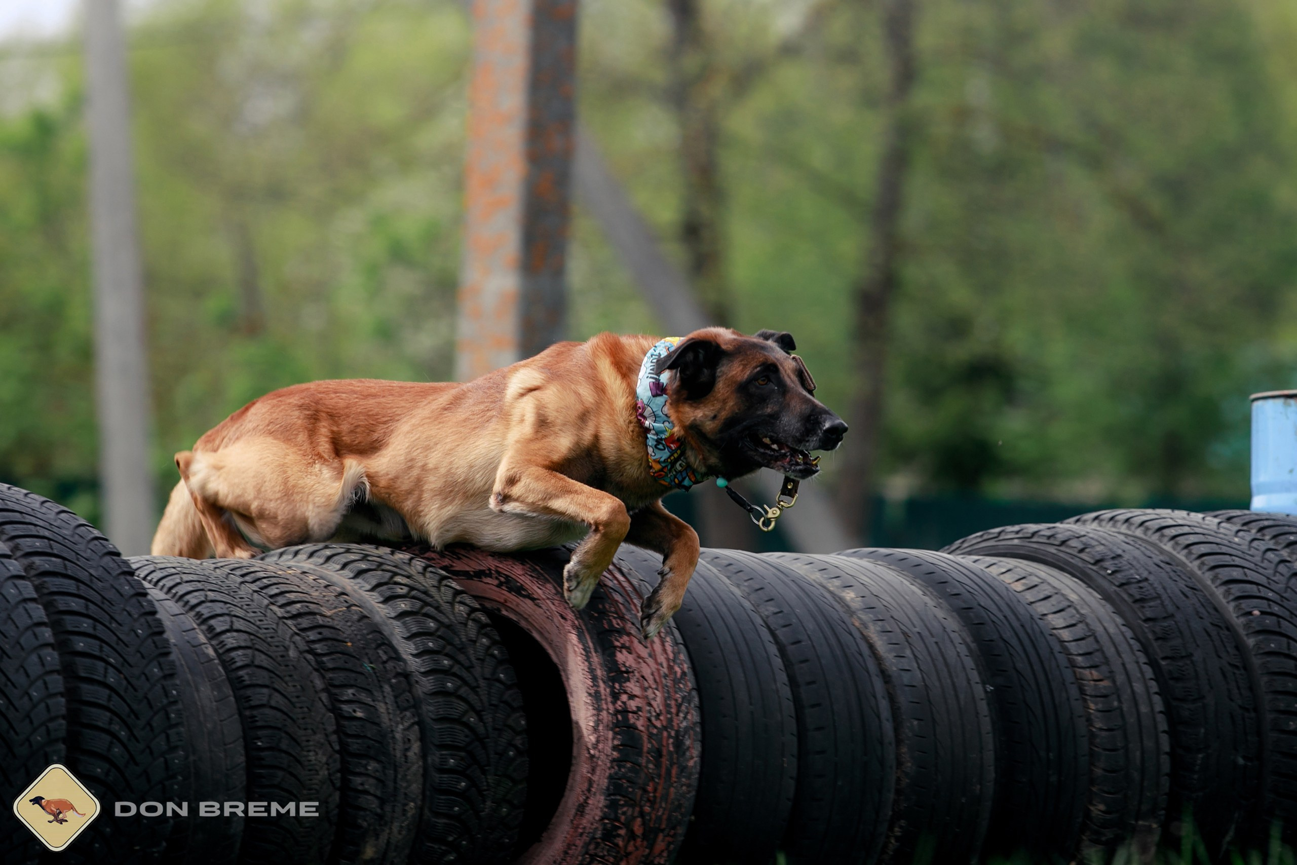 Семинар для фигурантов, день 2. Фотограф-анималист Mary Mart — Москва, Питер