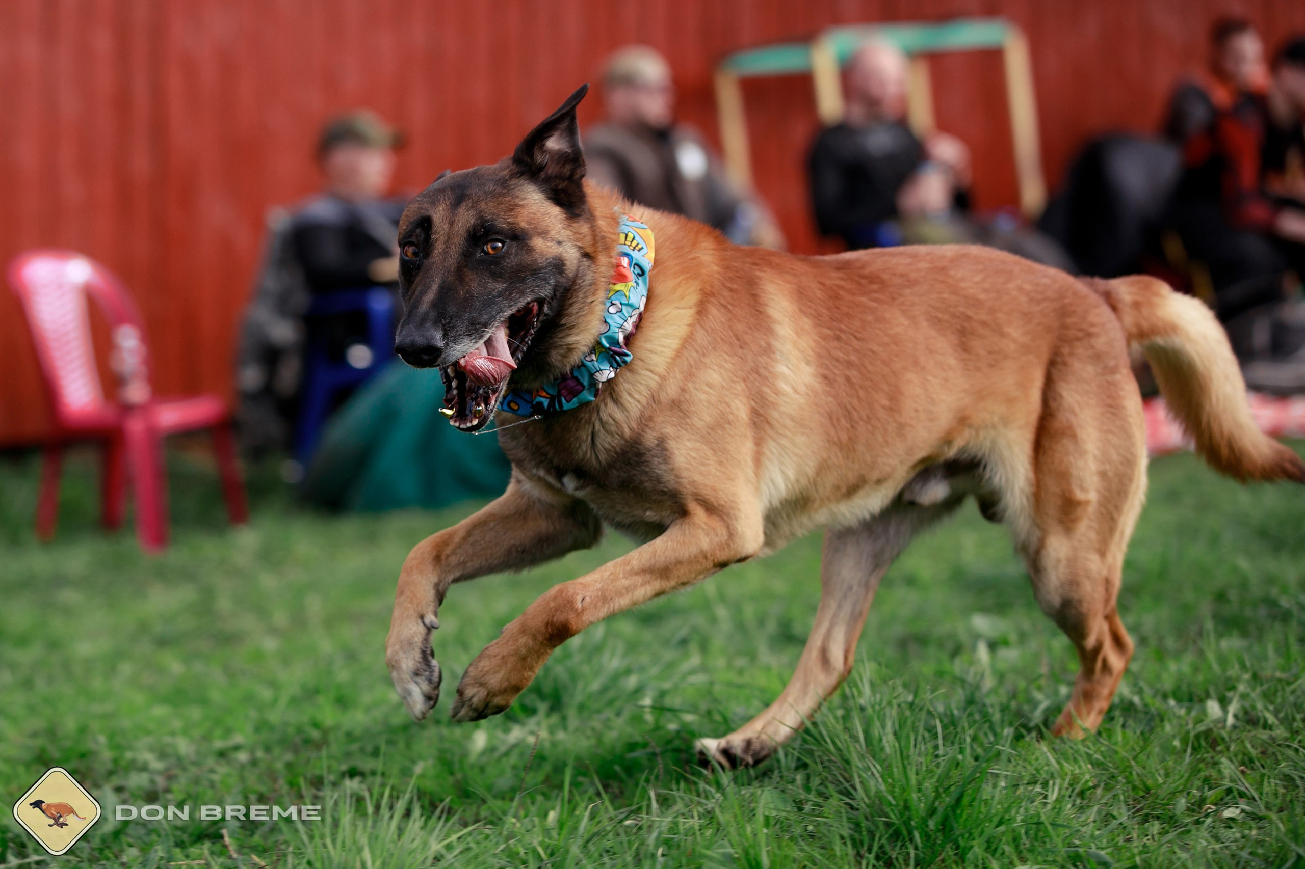 Семинар для фигурантов, день 2. Фотограф-анималист Mary Mart — Москва, Питер