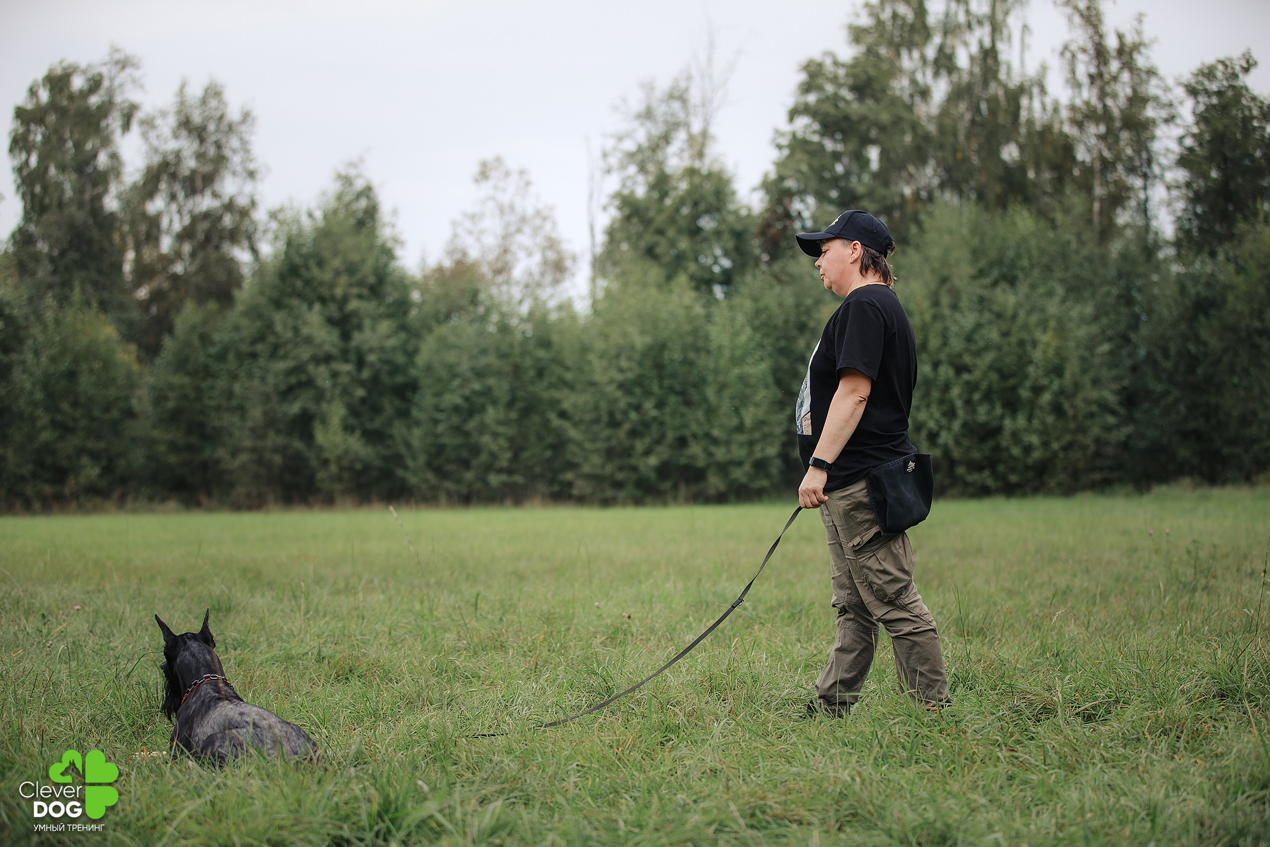 Кинологический лагерь CleverDog, 2024. Фотограф-анималист Mary Mart — Москва, Питер