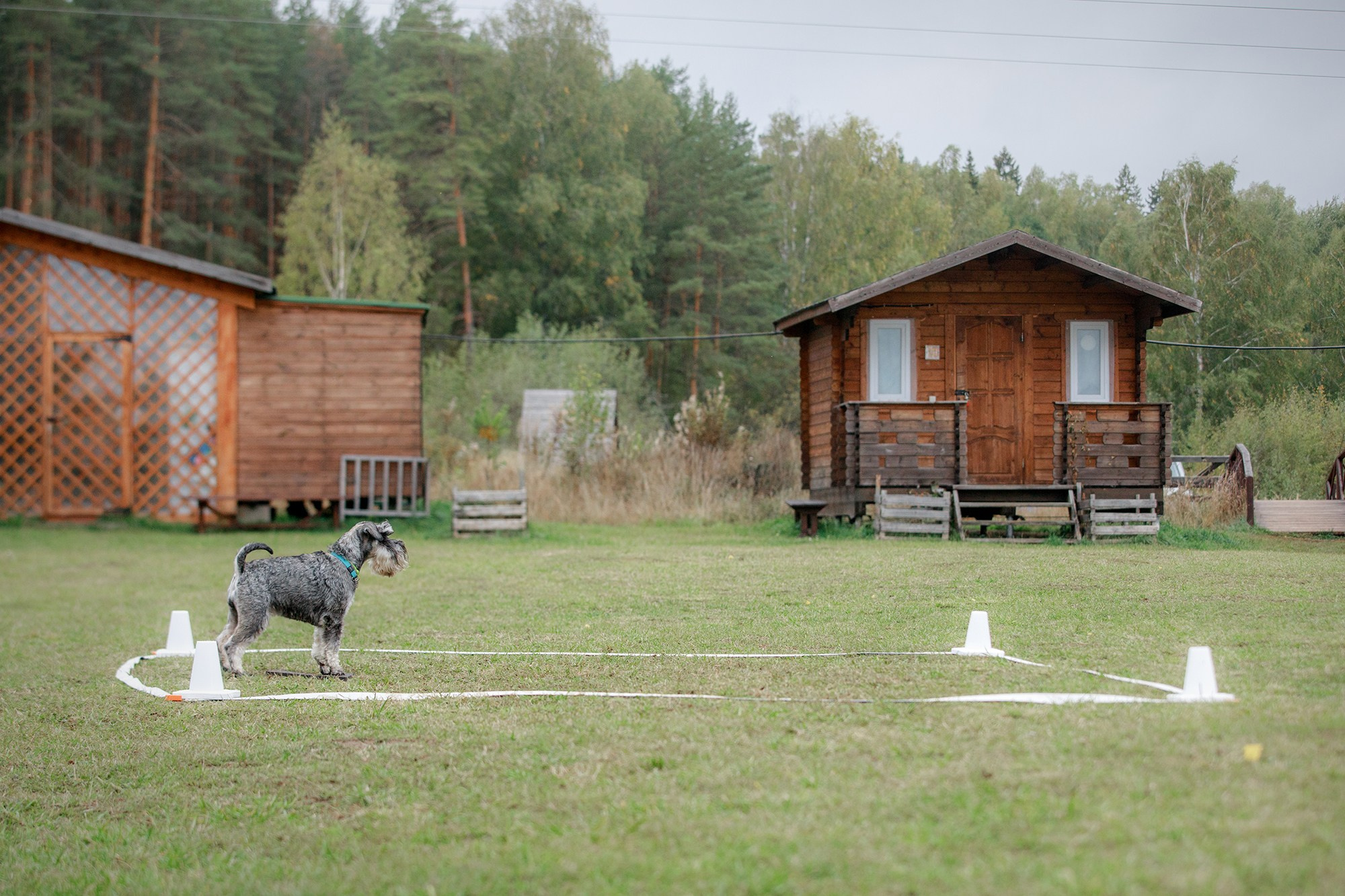 Лагерь по ОБД с Инной Баженовой. Фотограф-анималист Mary Mart — Москва, Питер
