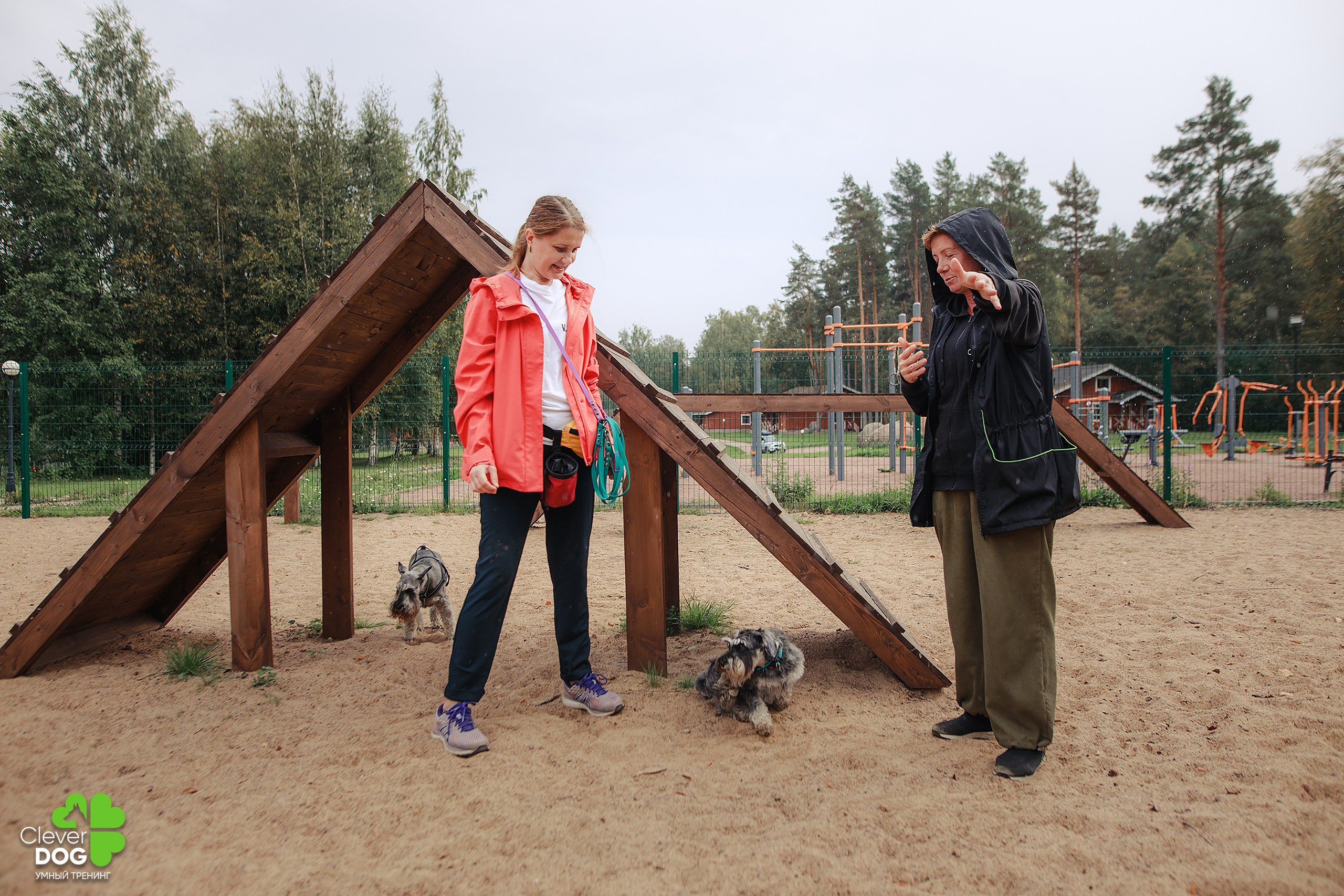 Кинологический лагерь CleverDog, 2024. Фотограф-анималист Mary Mart — Москва, Питер