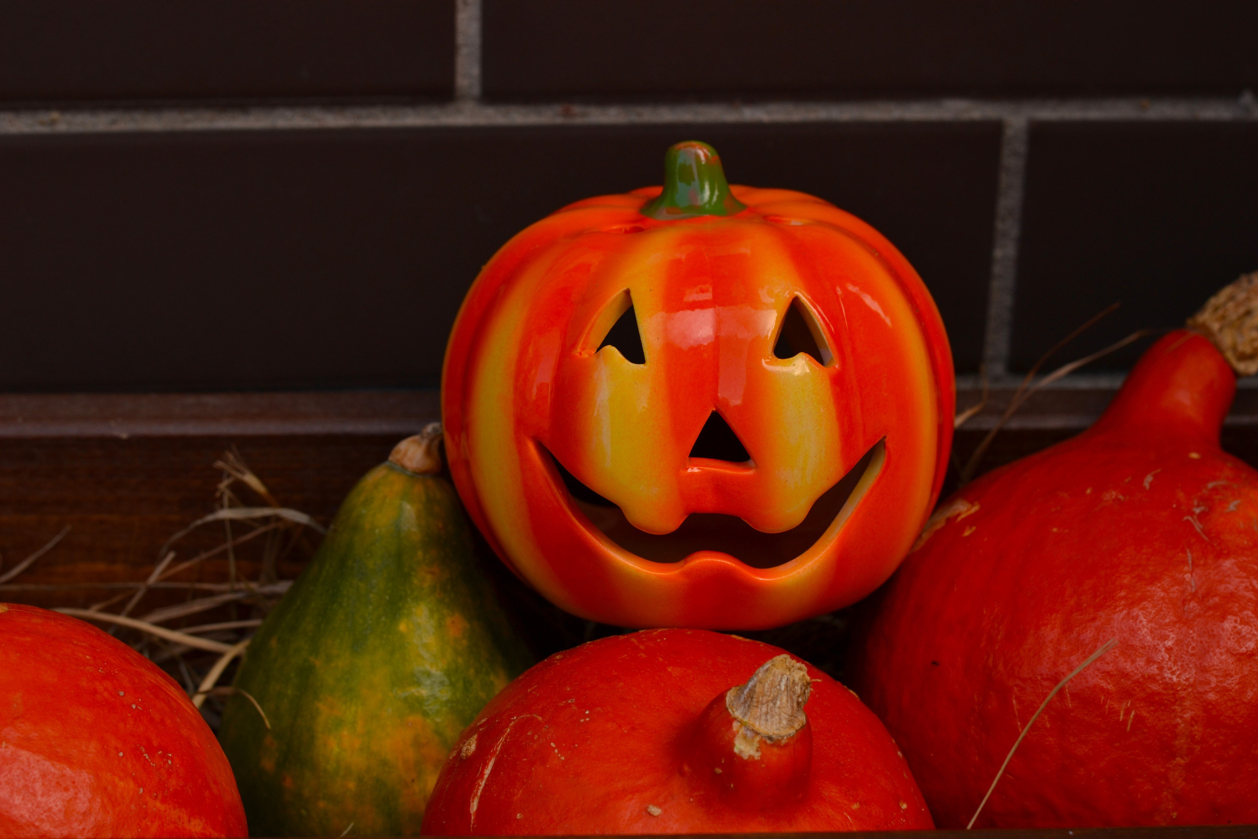 Детская. Семейный и детский фотограф в Калининграде Светлана Шураева