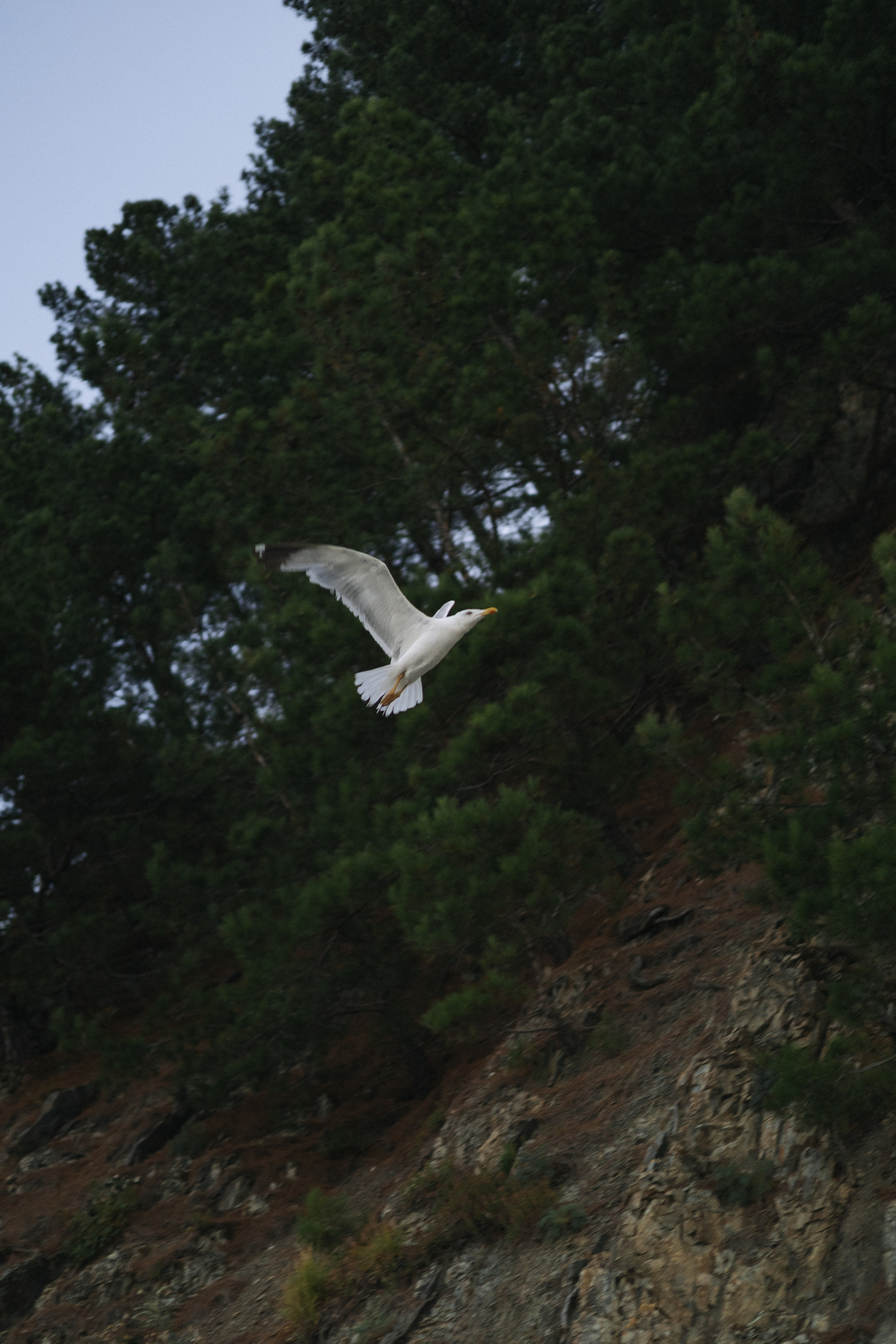 Полина. Семейный и свадебный фотограф в Краснодаре Елизавета Замаева