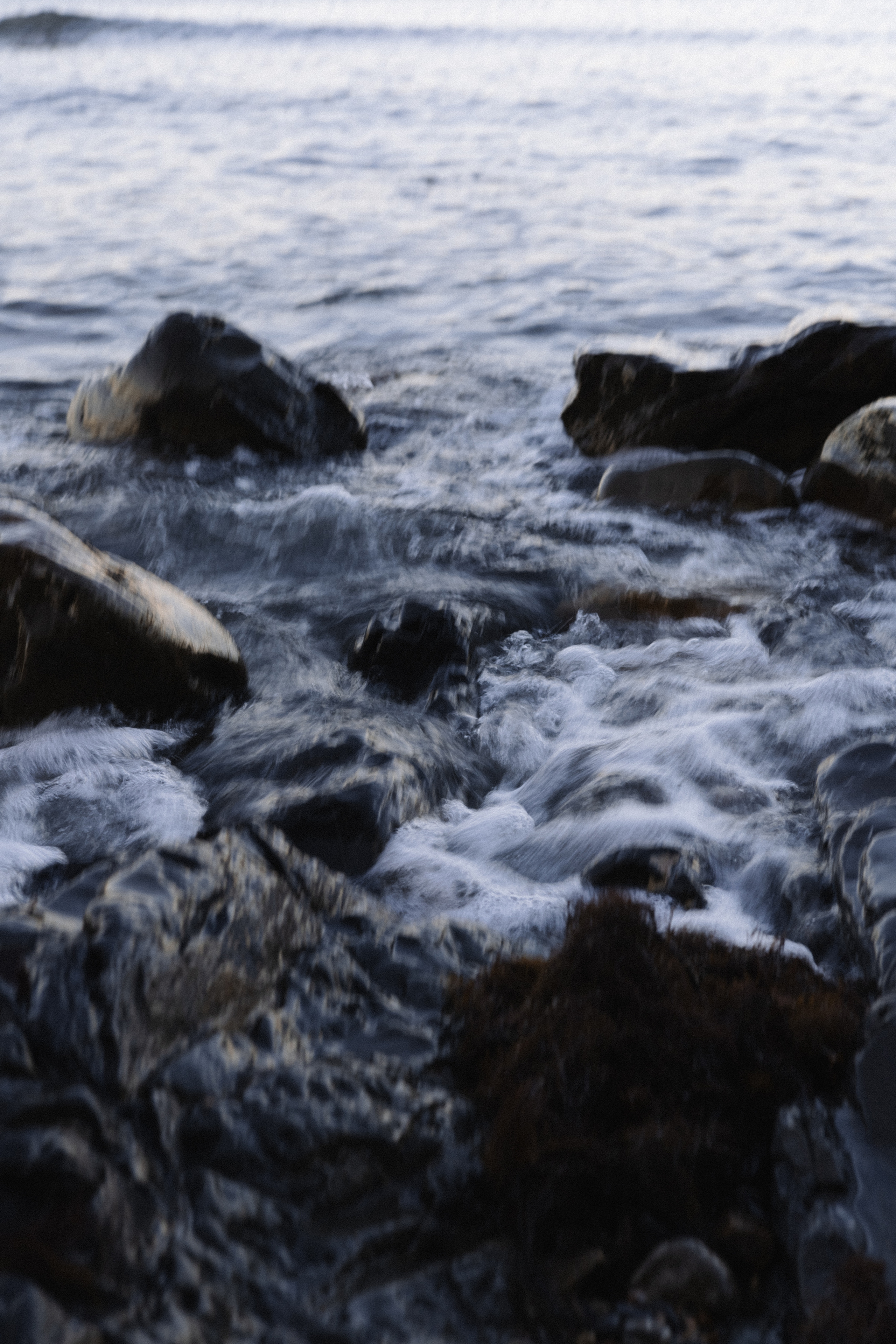 Полина. Семейный и свадебный фотограф в Краснодаре Елизавета Замаева