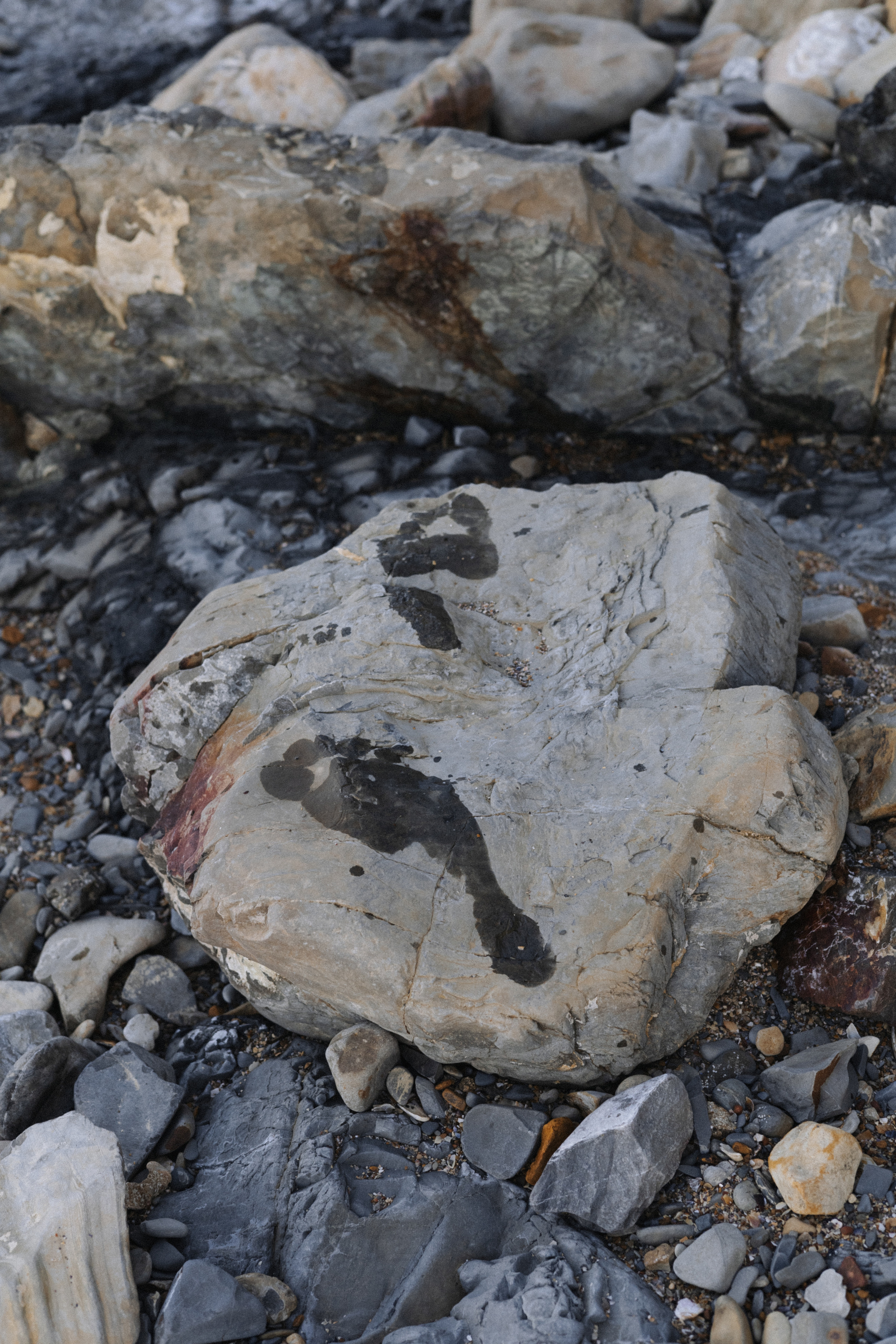 Полина. Семейный и свадебный фотограф в Краснодаре Елизавета Замаева