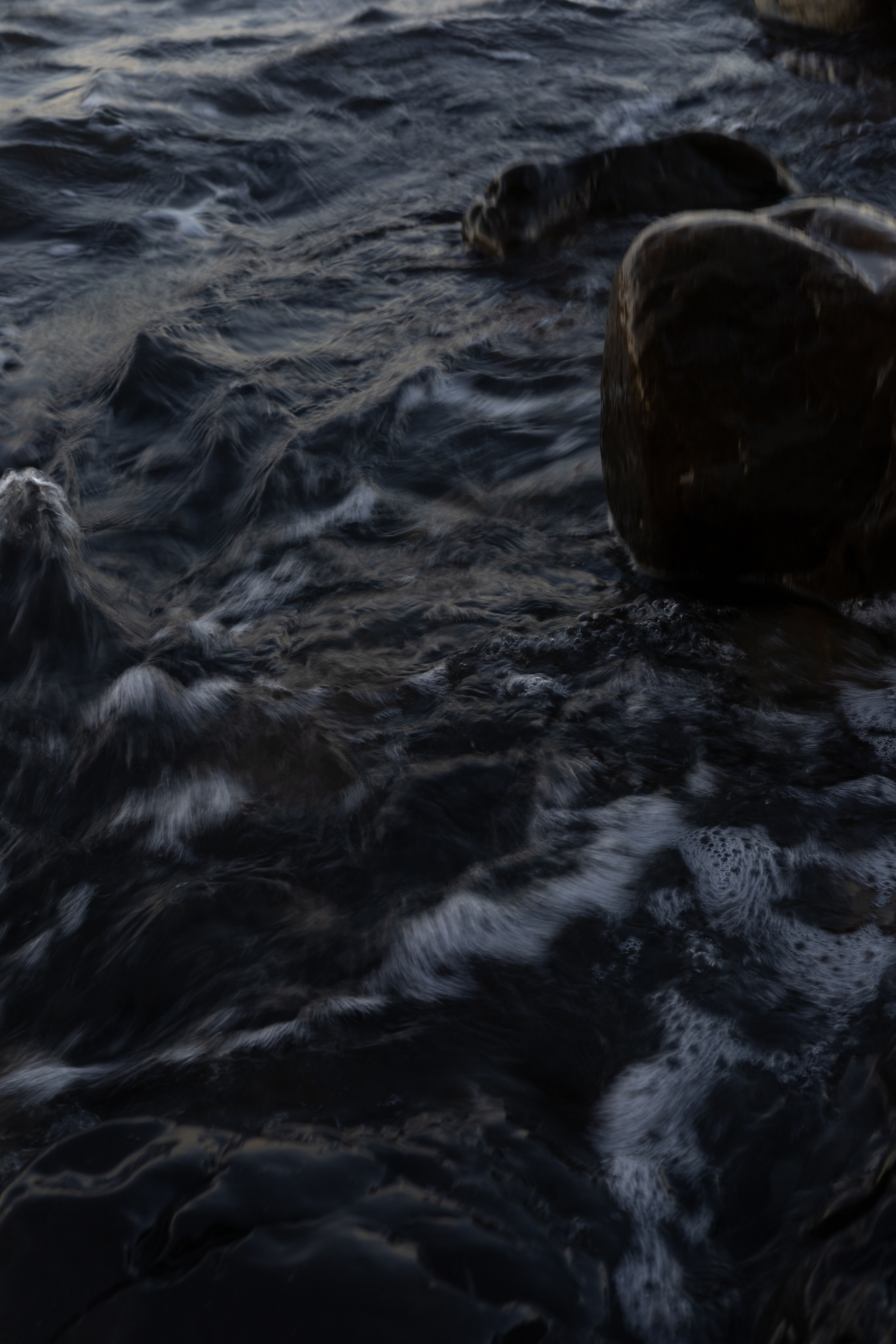 Полина. Семейный и свадебный фотограф в Краснодаре Елизавета Замаева