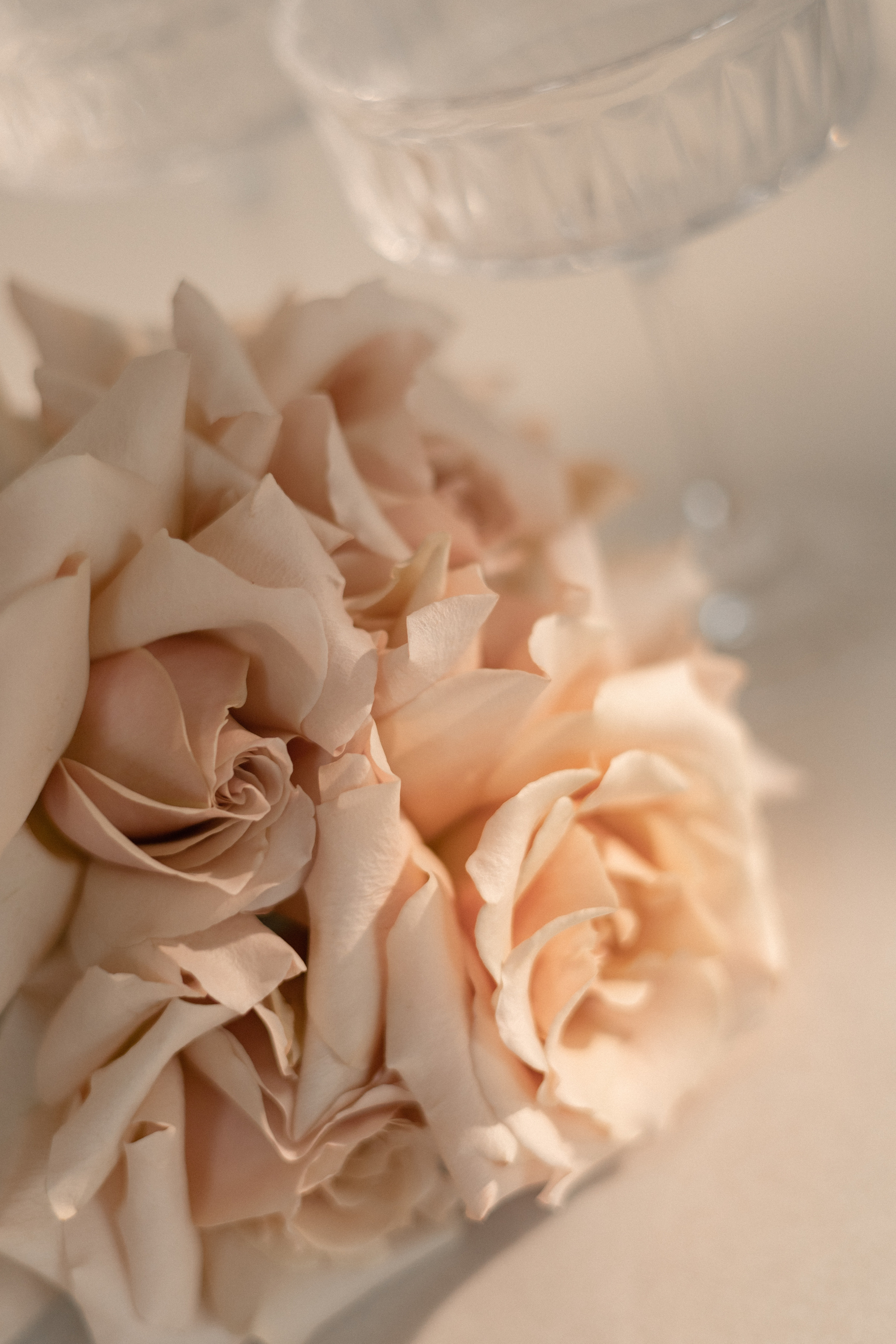 Александр и Виктория. Семейный и свадебный фотограф в Краснодаре Елизавета Замаева