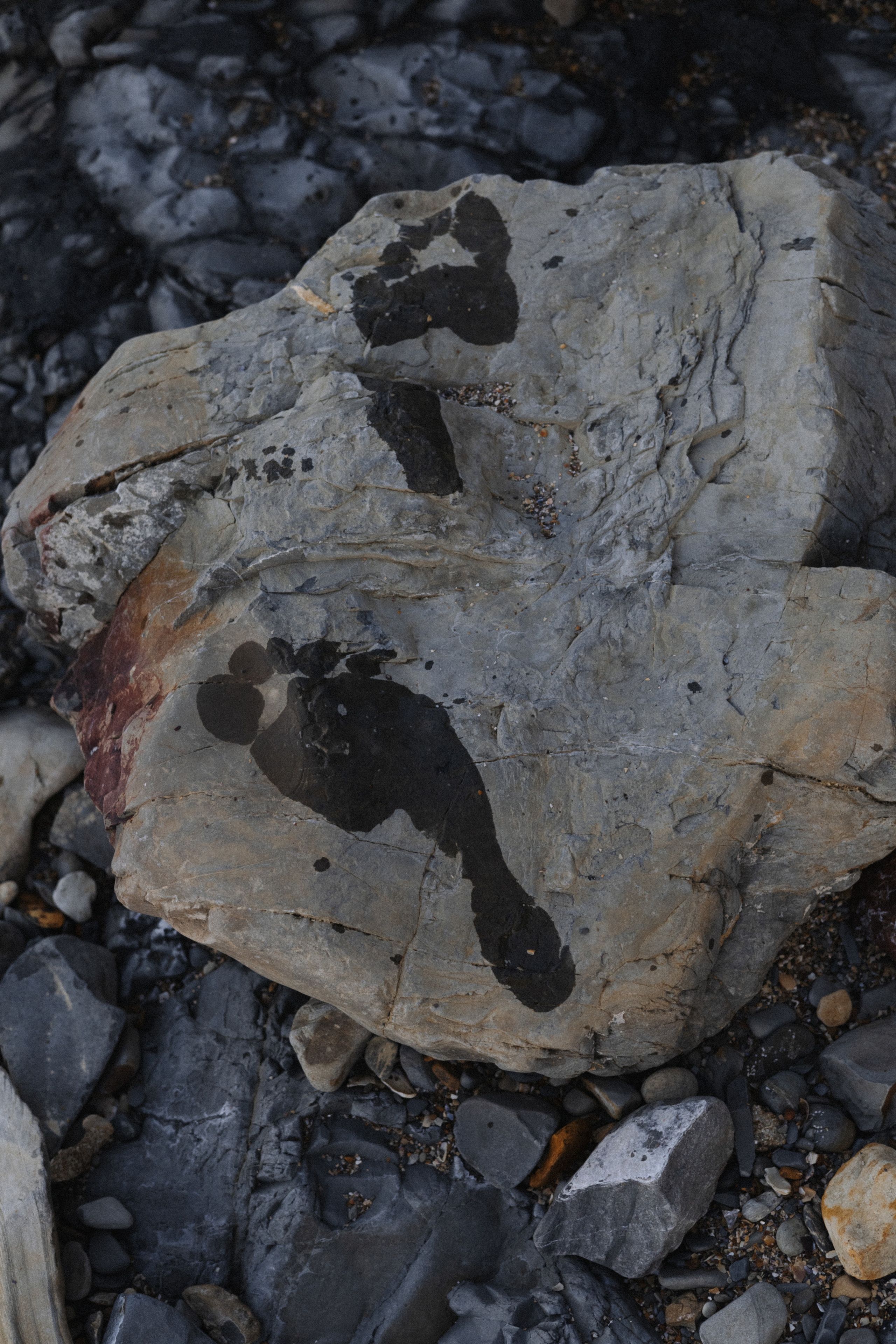 Полина. Семейный и свадебный фотограф в Краснодаре Елизавета Замаева