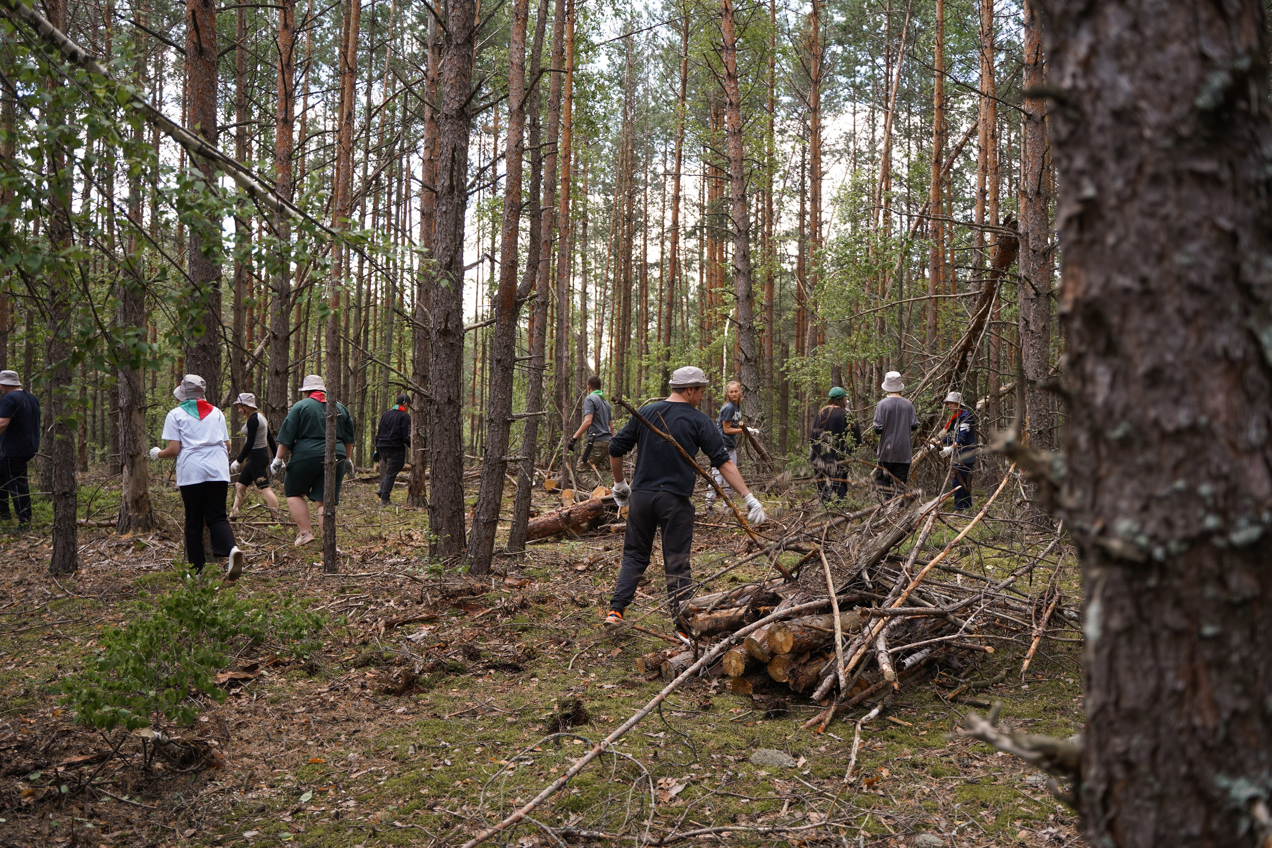Эко-сборы добровольцев «О! Пушка» в национальном парке «Мещерский» 2024. Фотограф Надежда Погребняк | Рязань | Москва