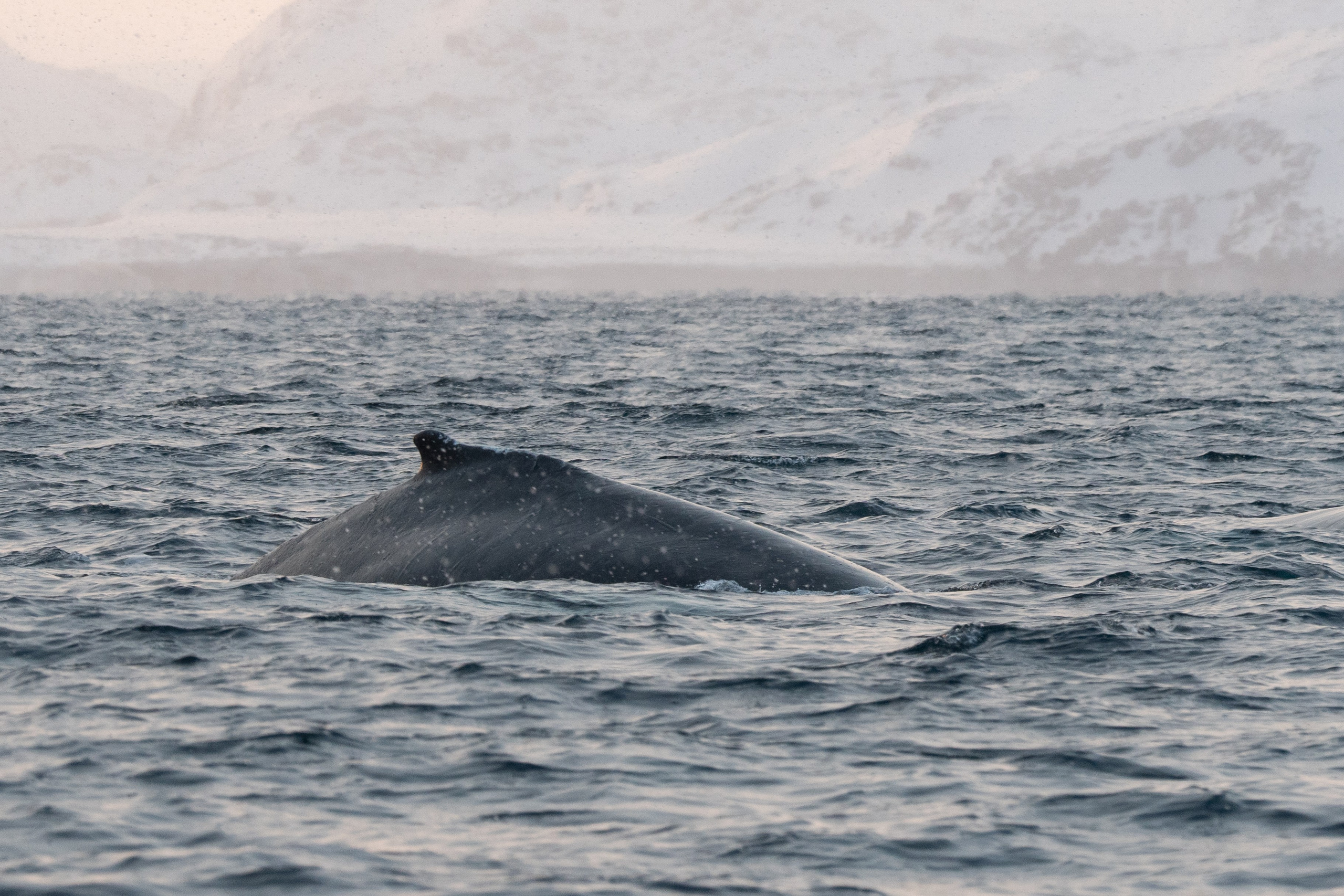 Кольский полуостров. Gusarov Travel Photography
