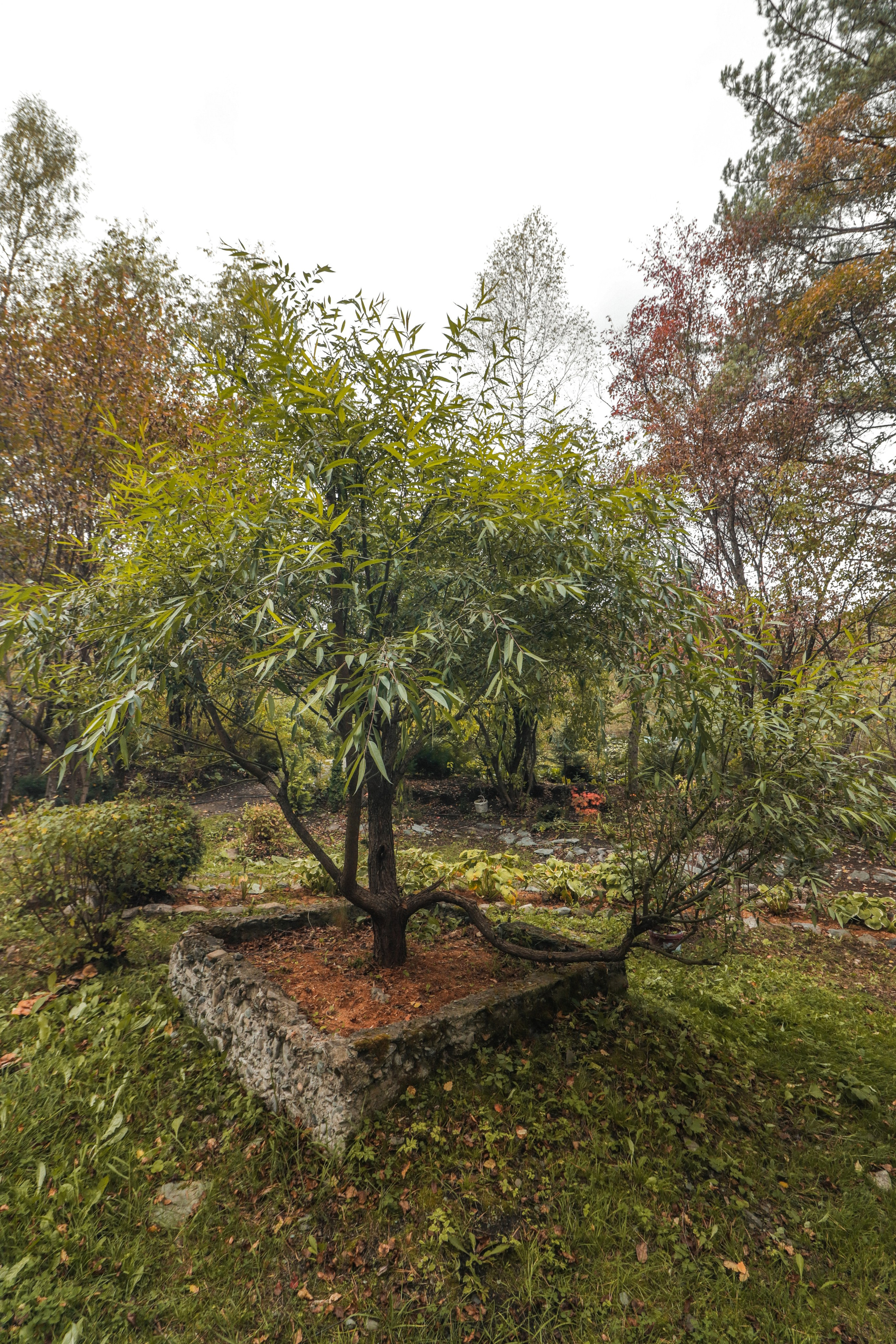«Сад пионов» эко-отель, респ. Алтай. Контент фотограф Дмитрий Борисов