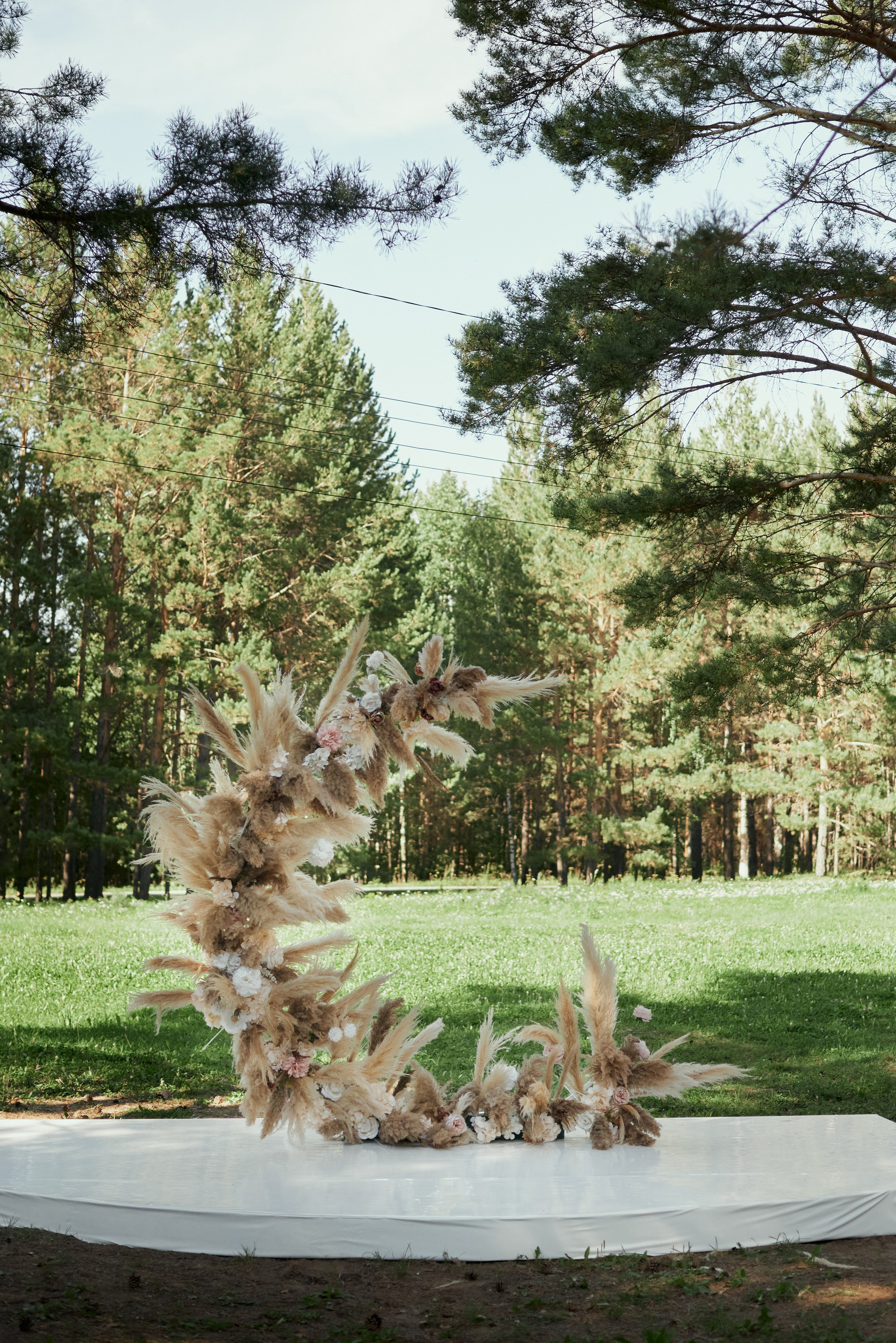 Александра и Максим. Свадебный фотограф Александр Браво