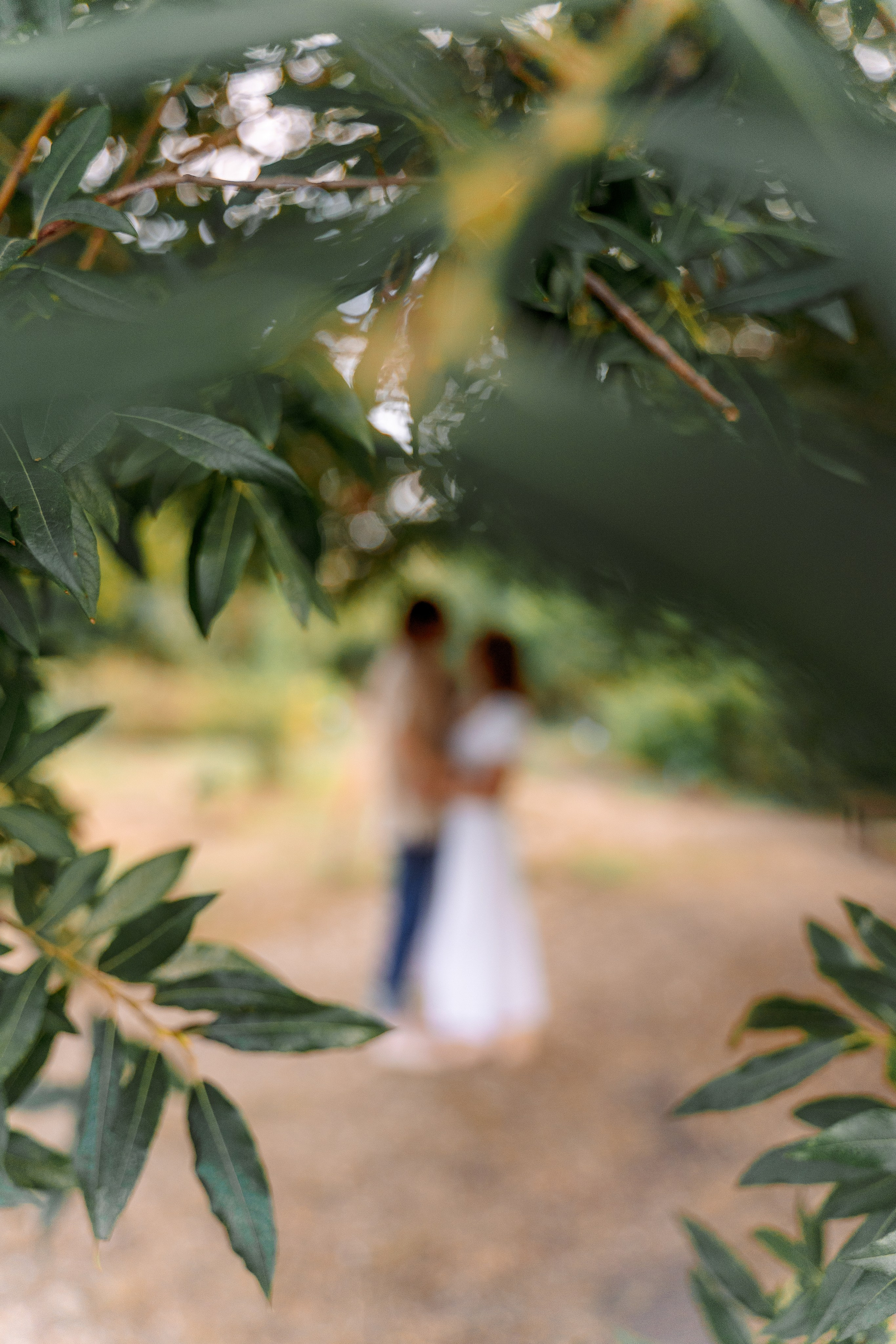 Ботанический сад. Фотограф Мария Зайчик