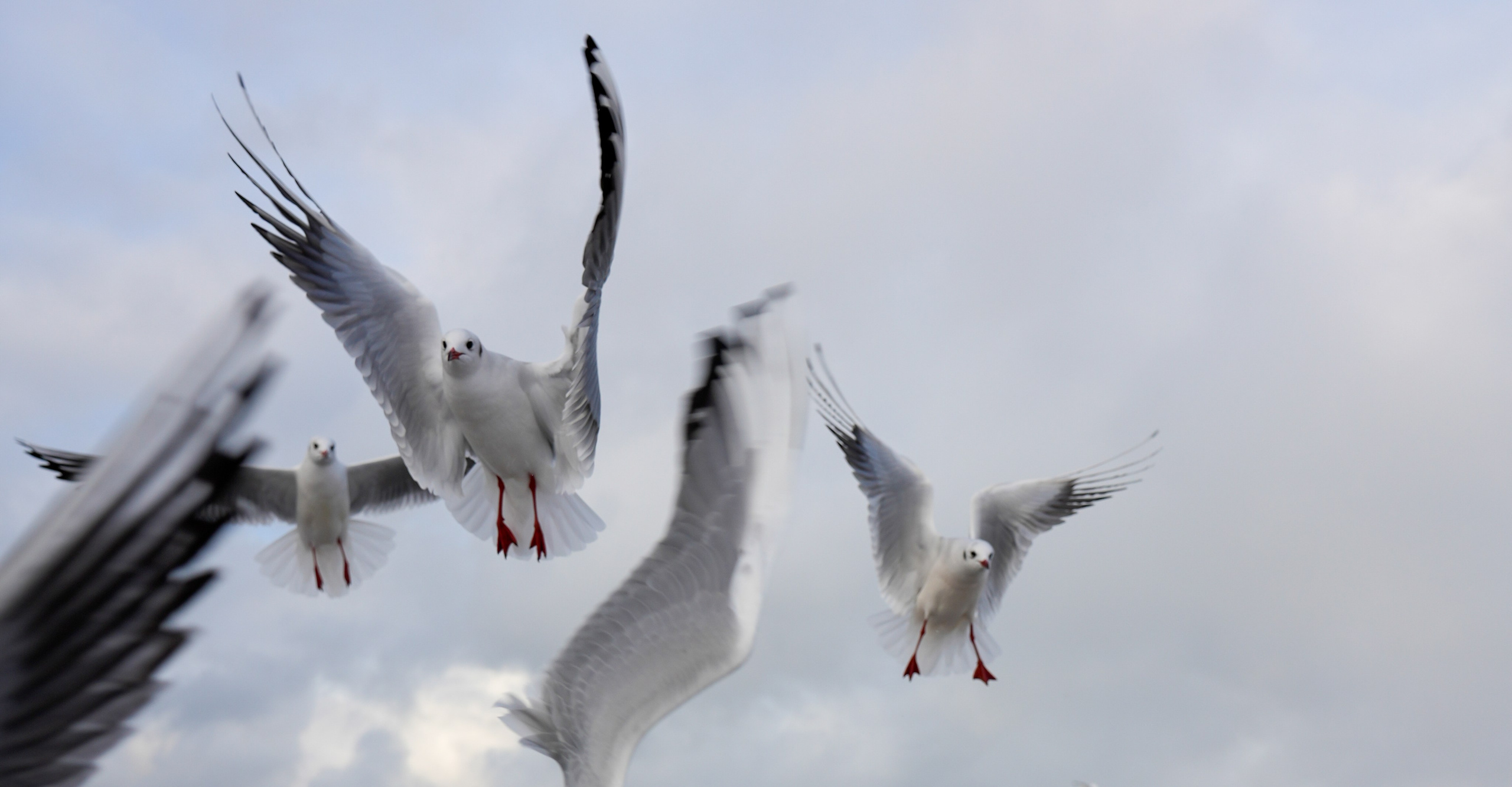 Arseniy Karchevskiy I Photographer