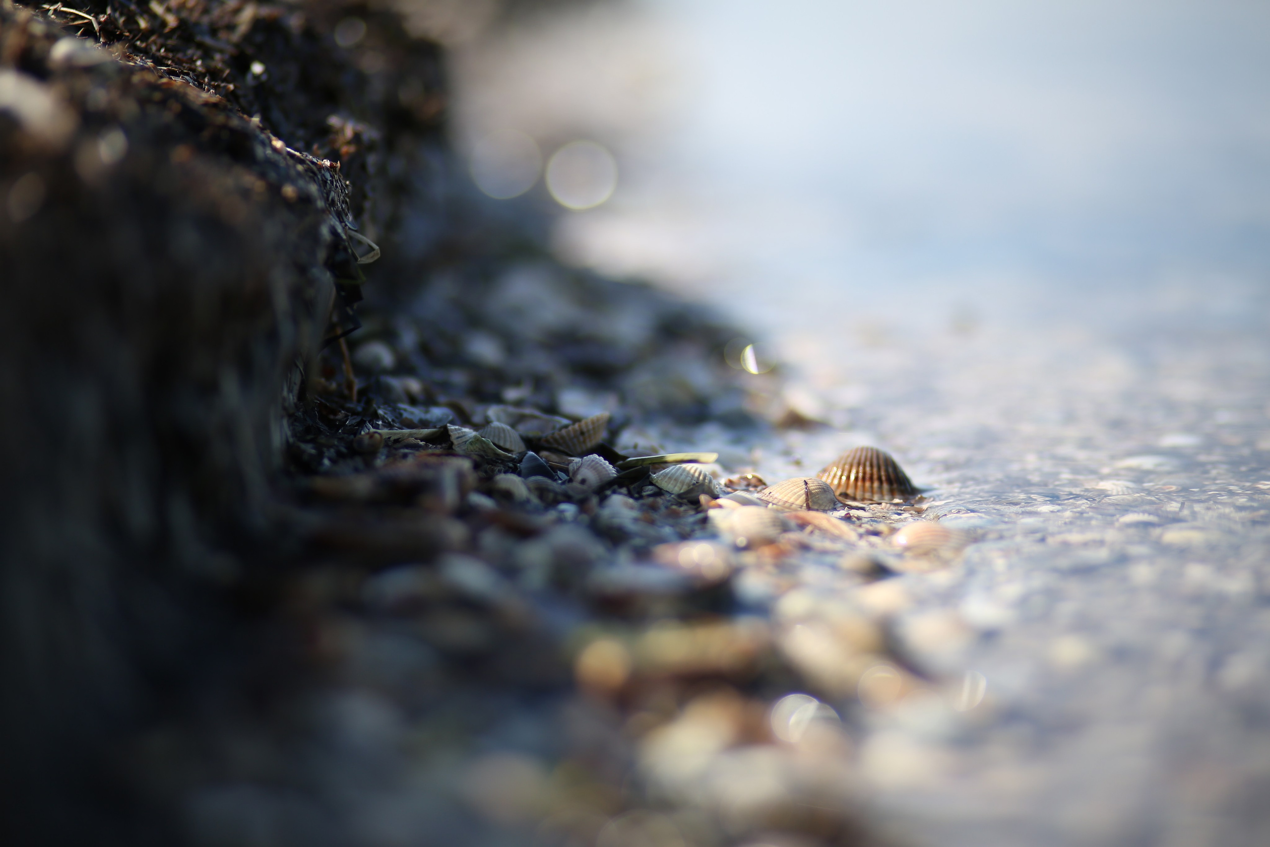 Крым. Фотограф в г. Сургуте Марина Киприна