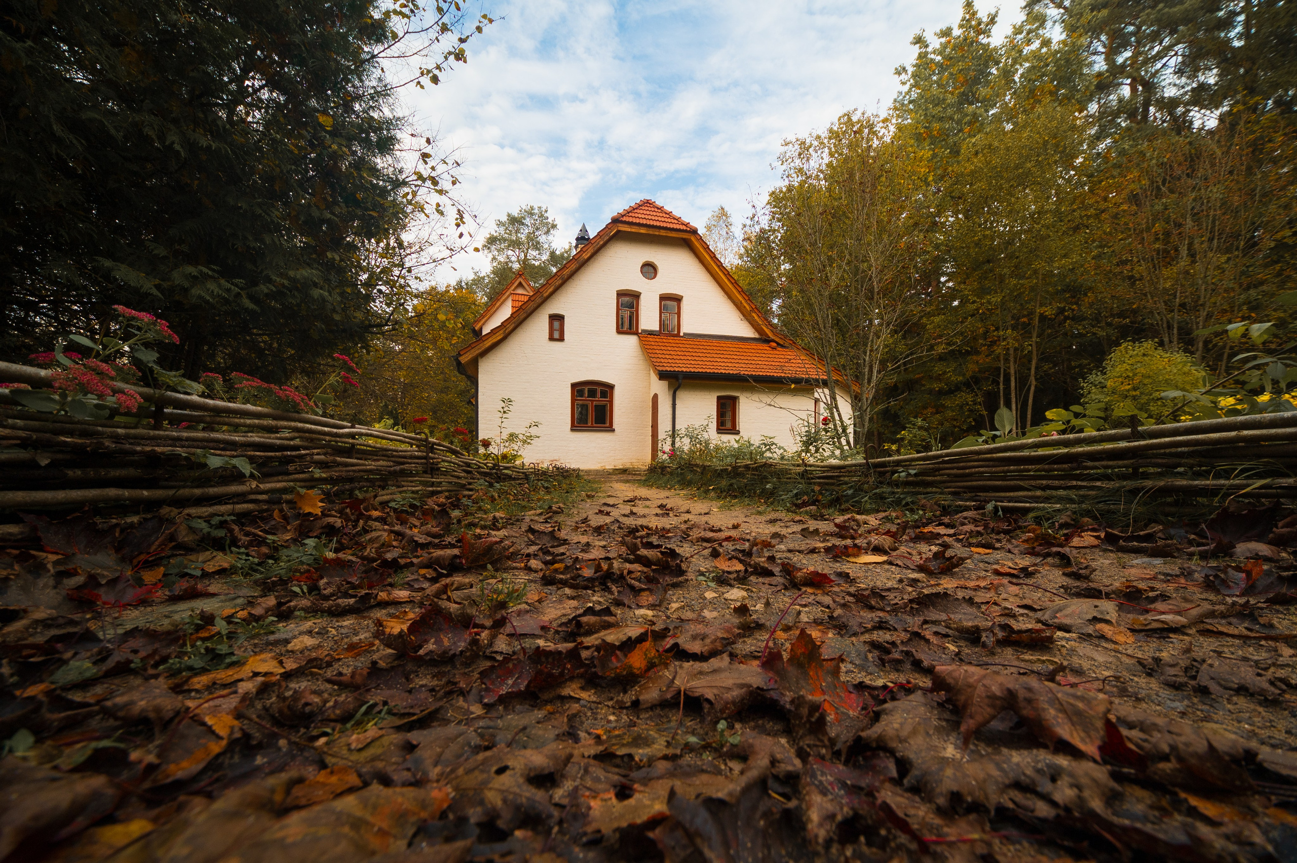 Поленово, Бёхово. Фотограф и видеооператор в Туле | Даниил Рыбак