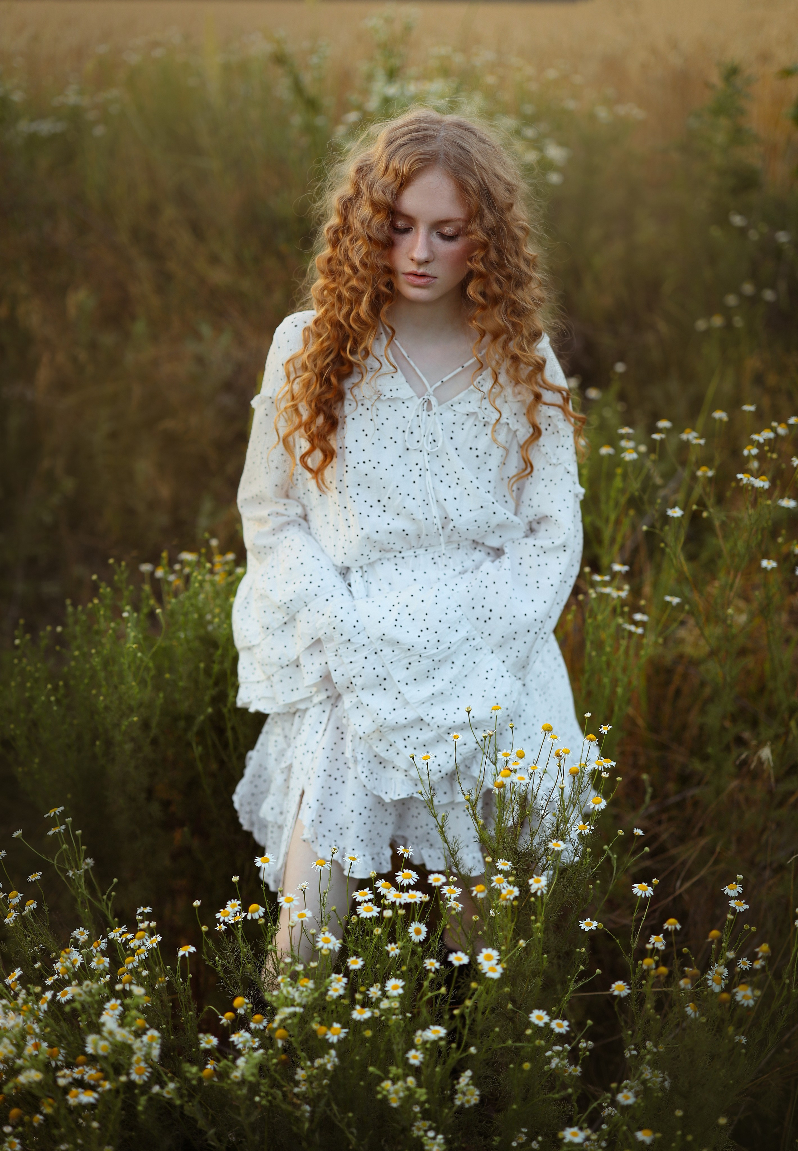 Камилла в поле ромашек. Свадебный и семейный фотограф в Абхазии Жанна Соснина