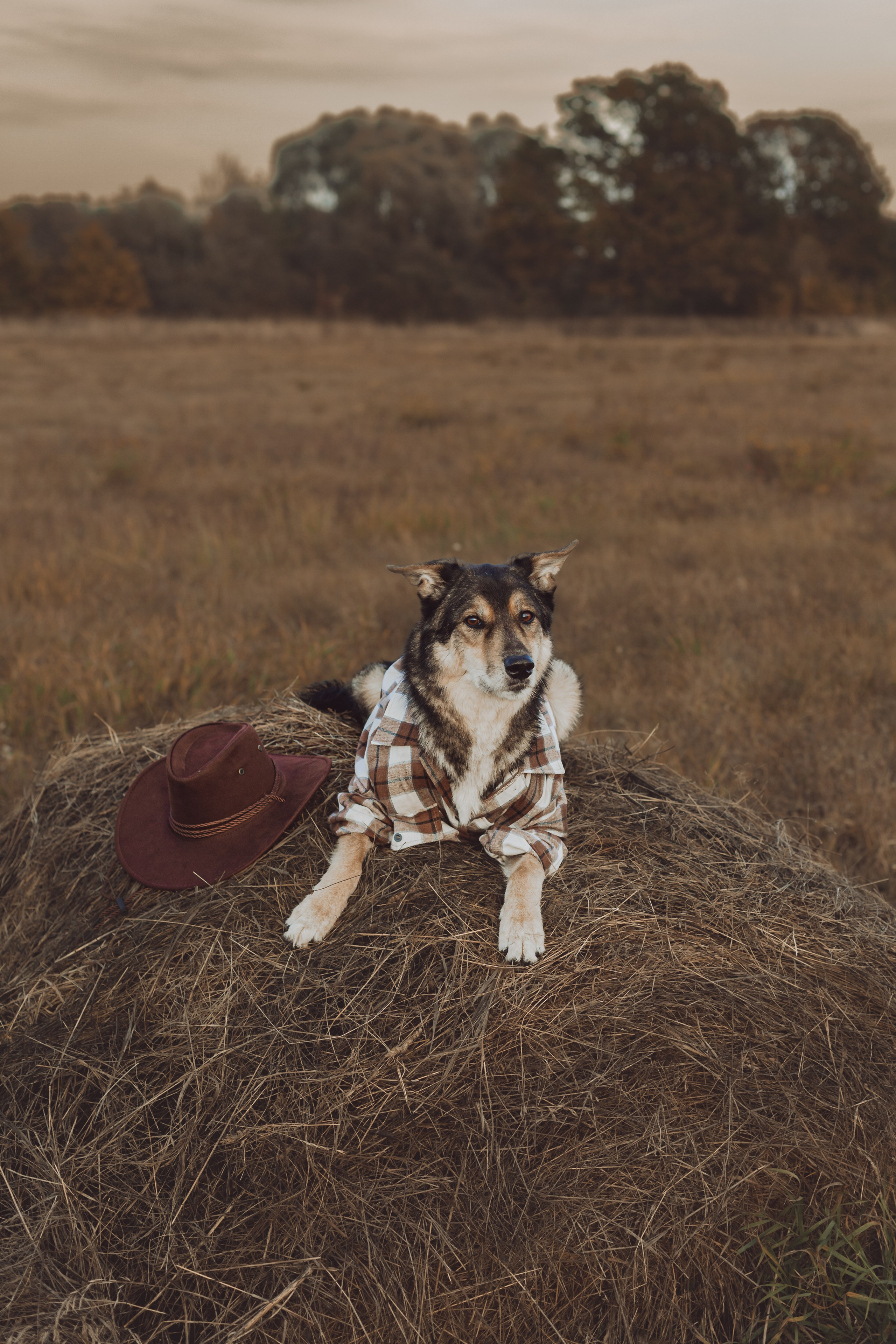 Кантри Дюк. Фотограф-анималист Татьяна Степанова