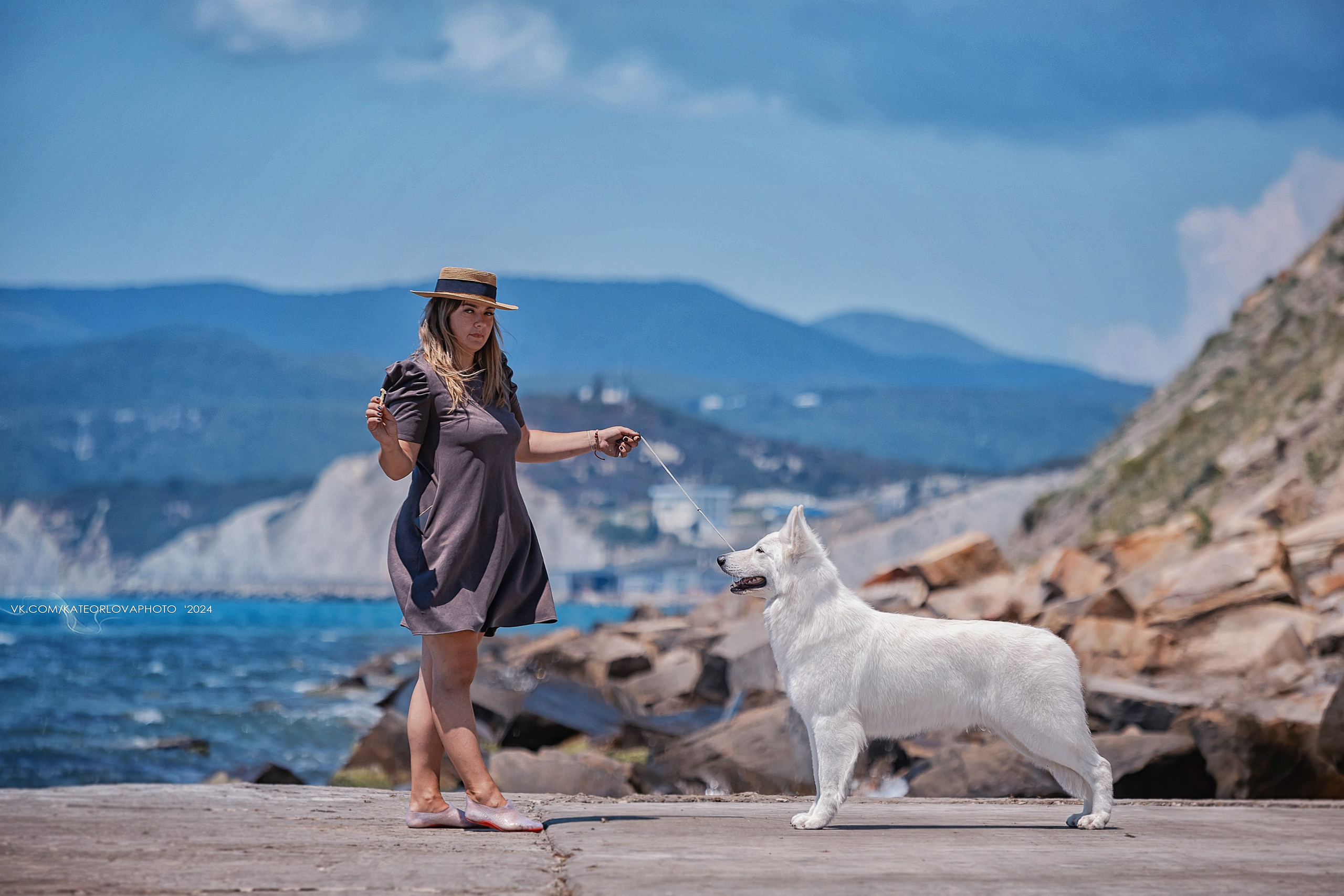 Фотосъемка собак, щенков, на выставках, фотограф анималист Россия воронеж. Питомник собак Акита, Хаски, Корги