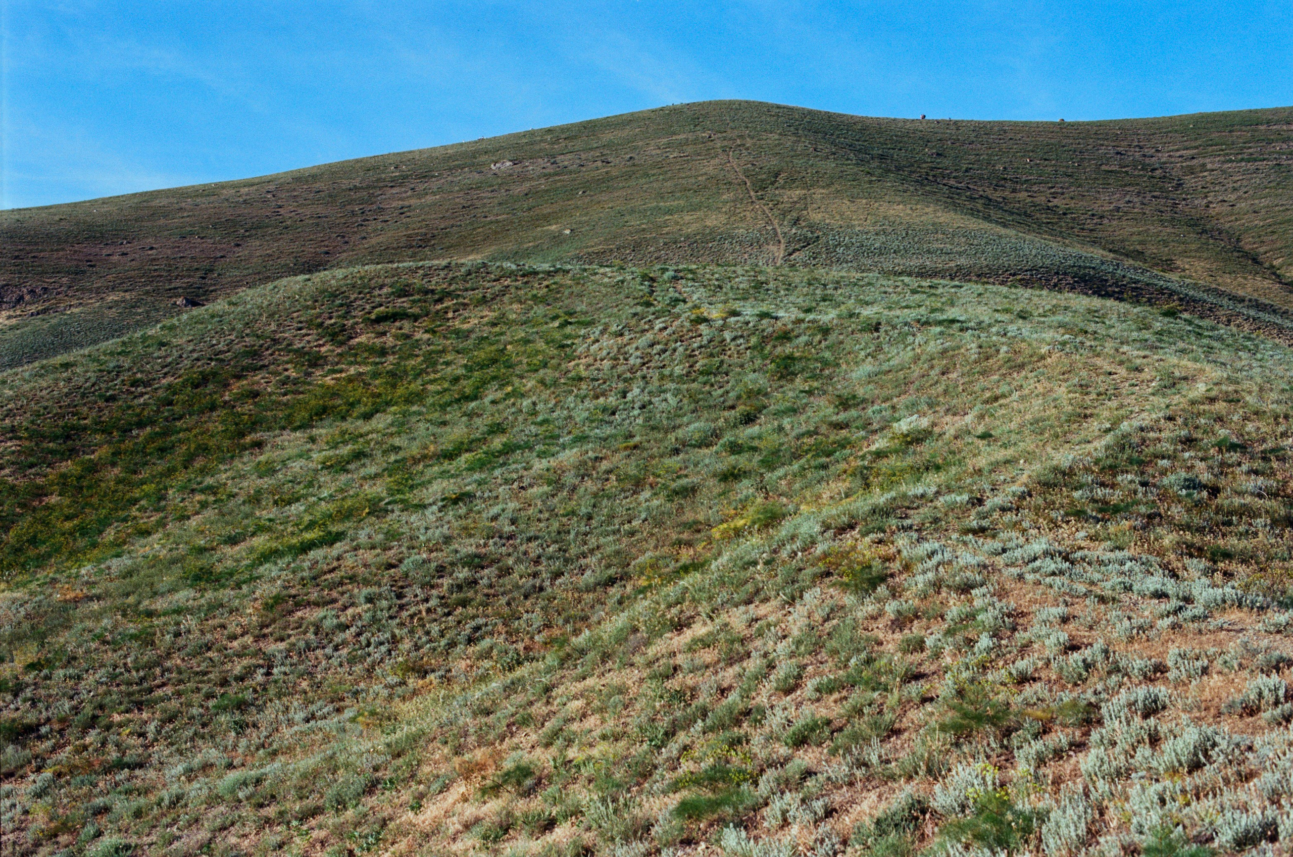 Kool-aid // ukraine, crimea. EVER EXPOSED
