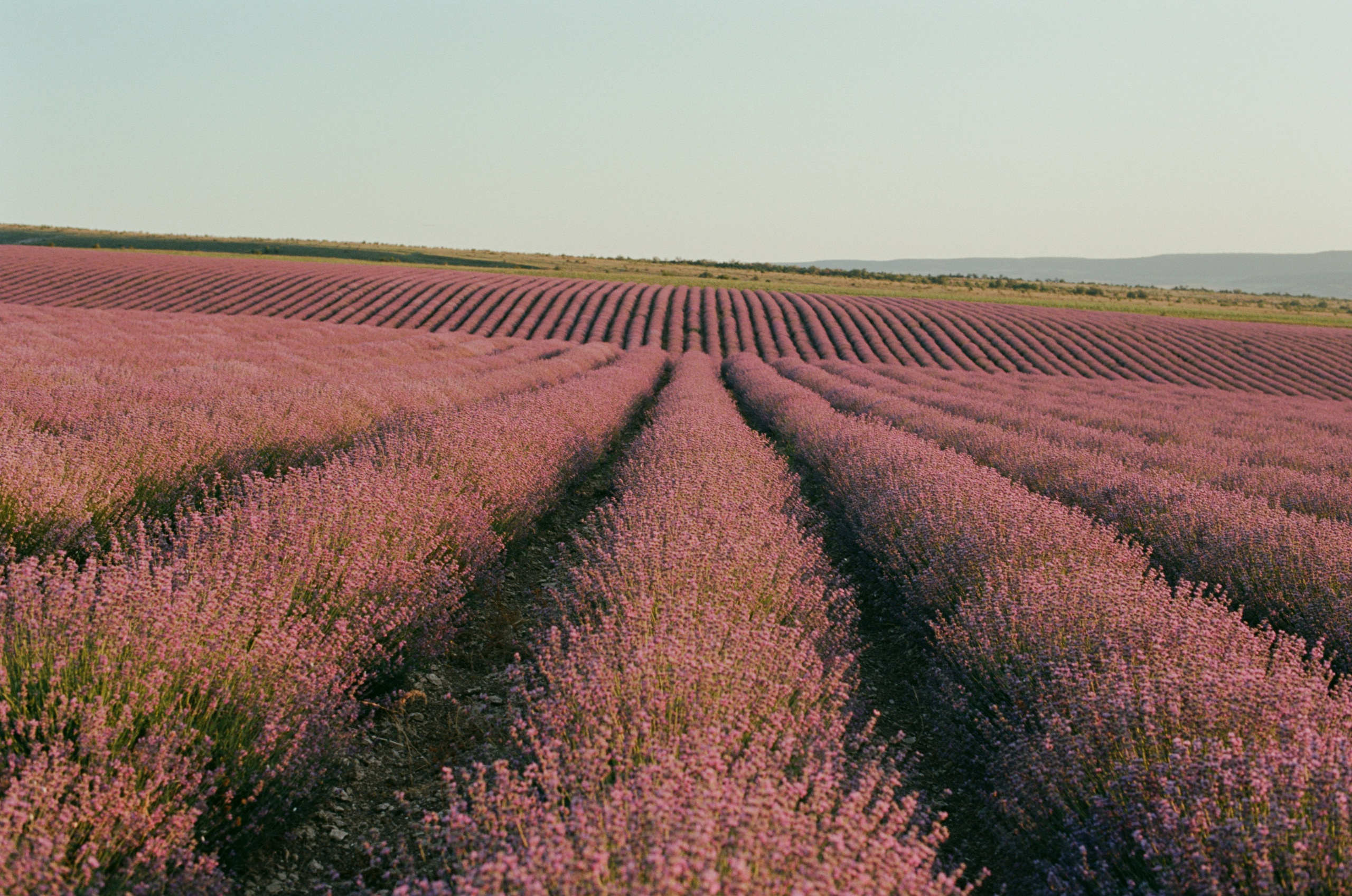 Silent running // ukraine, crimea VI. EVER EXPOSED
