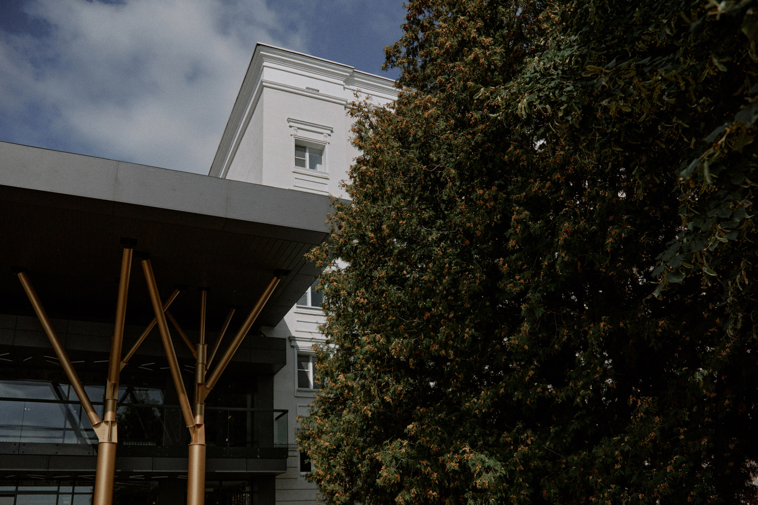 Буду рядом. Фотограф Елена Краснопевцева