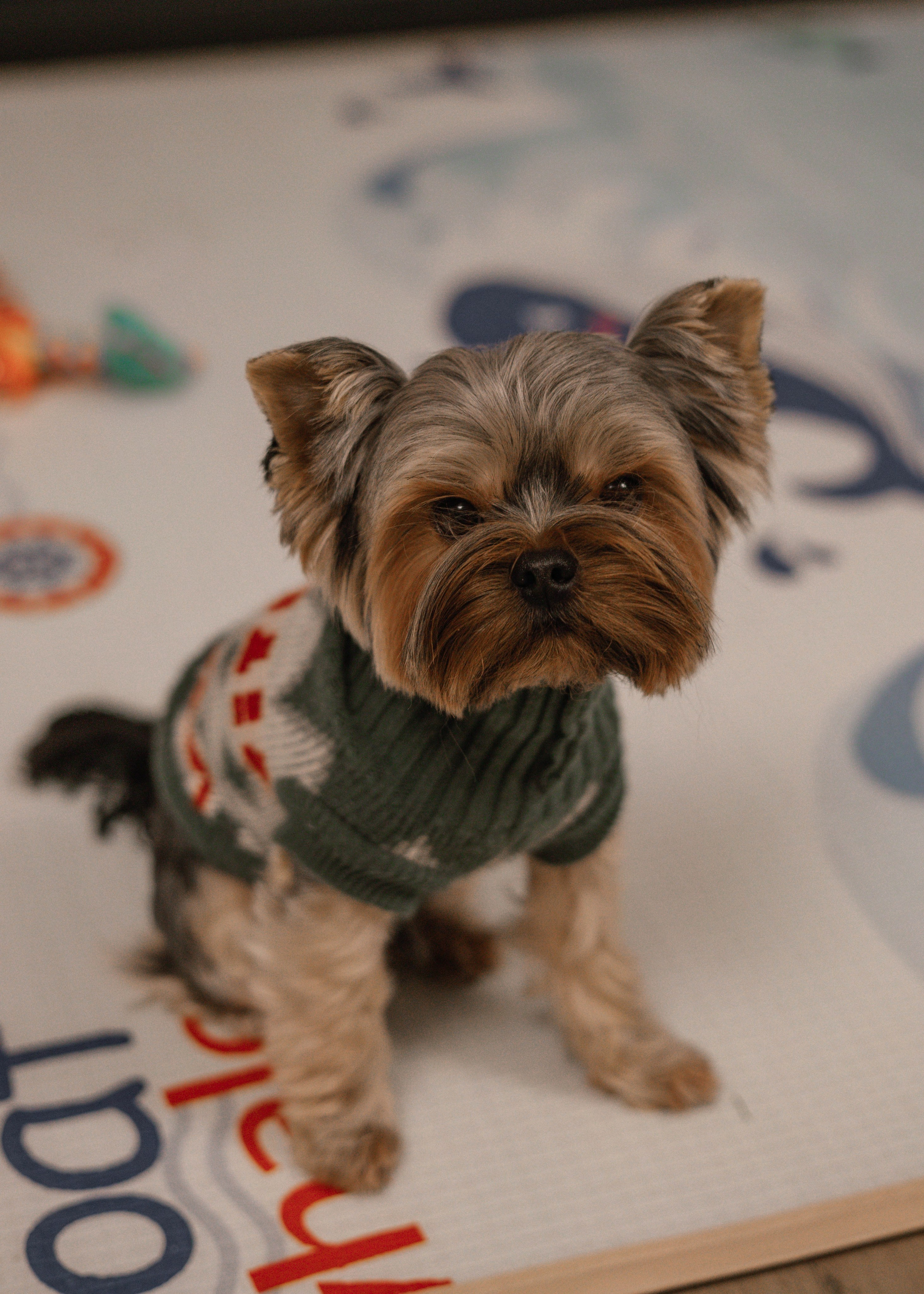 СЕМЕЙНЫЕ. Фотосессия новорожденных в Москве и Московской области