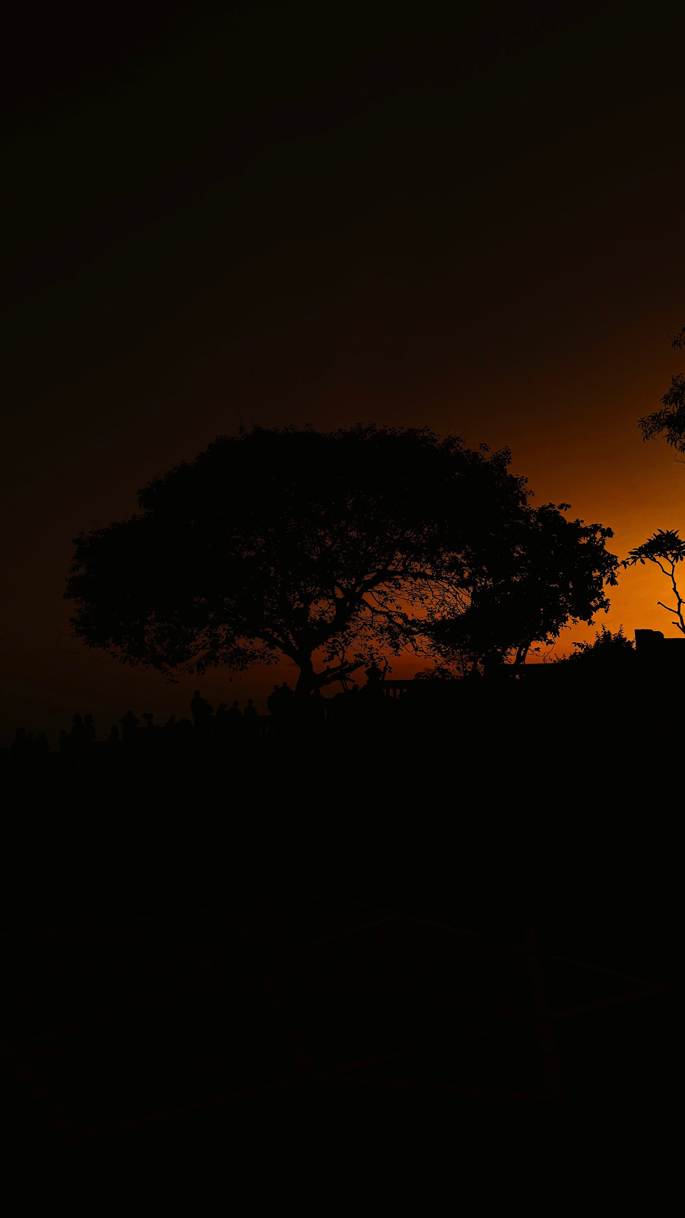 SOMEWHERE. Carolinetru