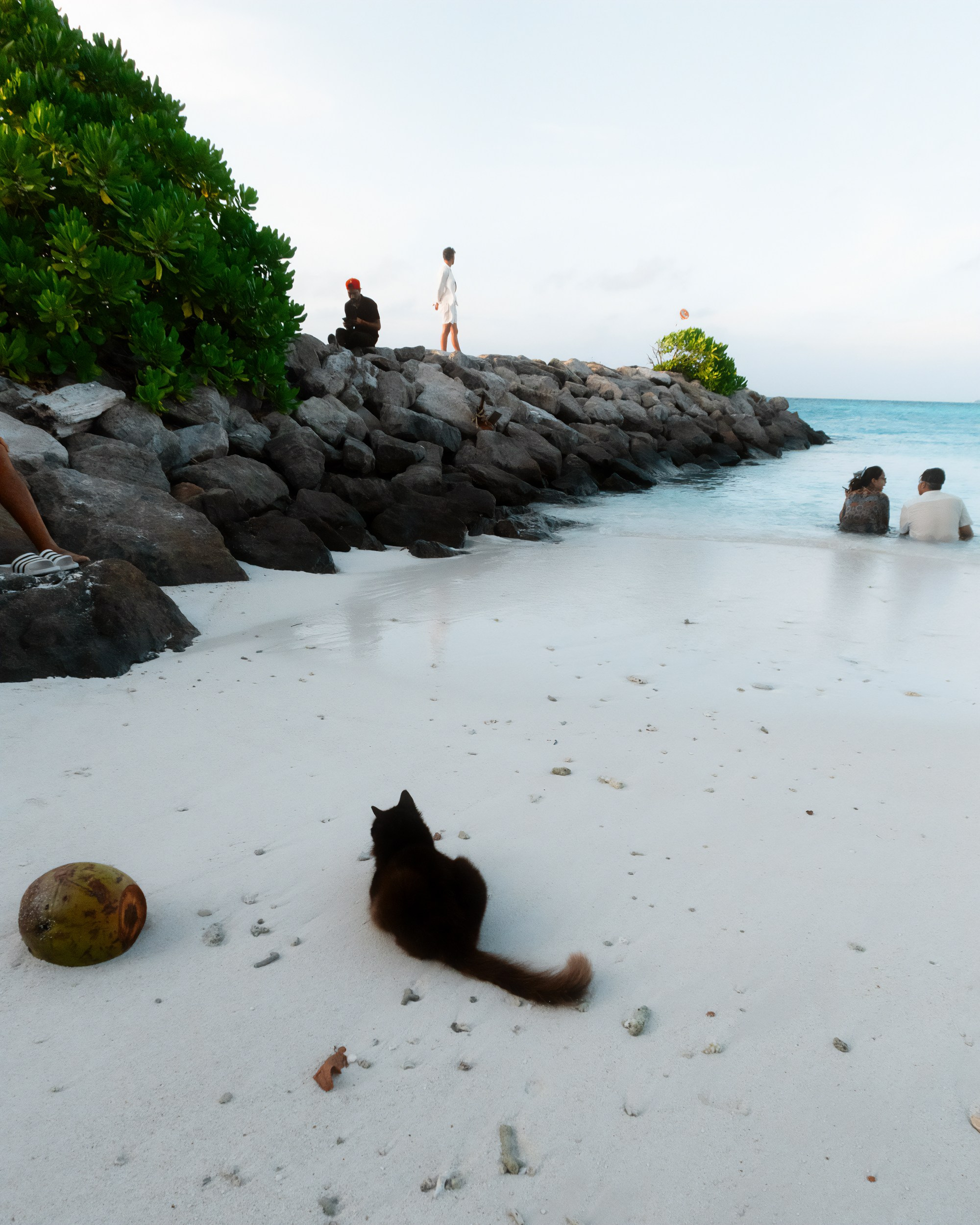 Ktokuda. Фотограф в Хабаровске. Фотография за 24 часа