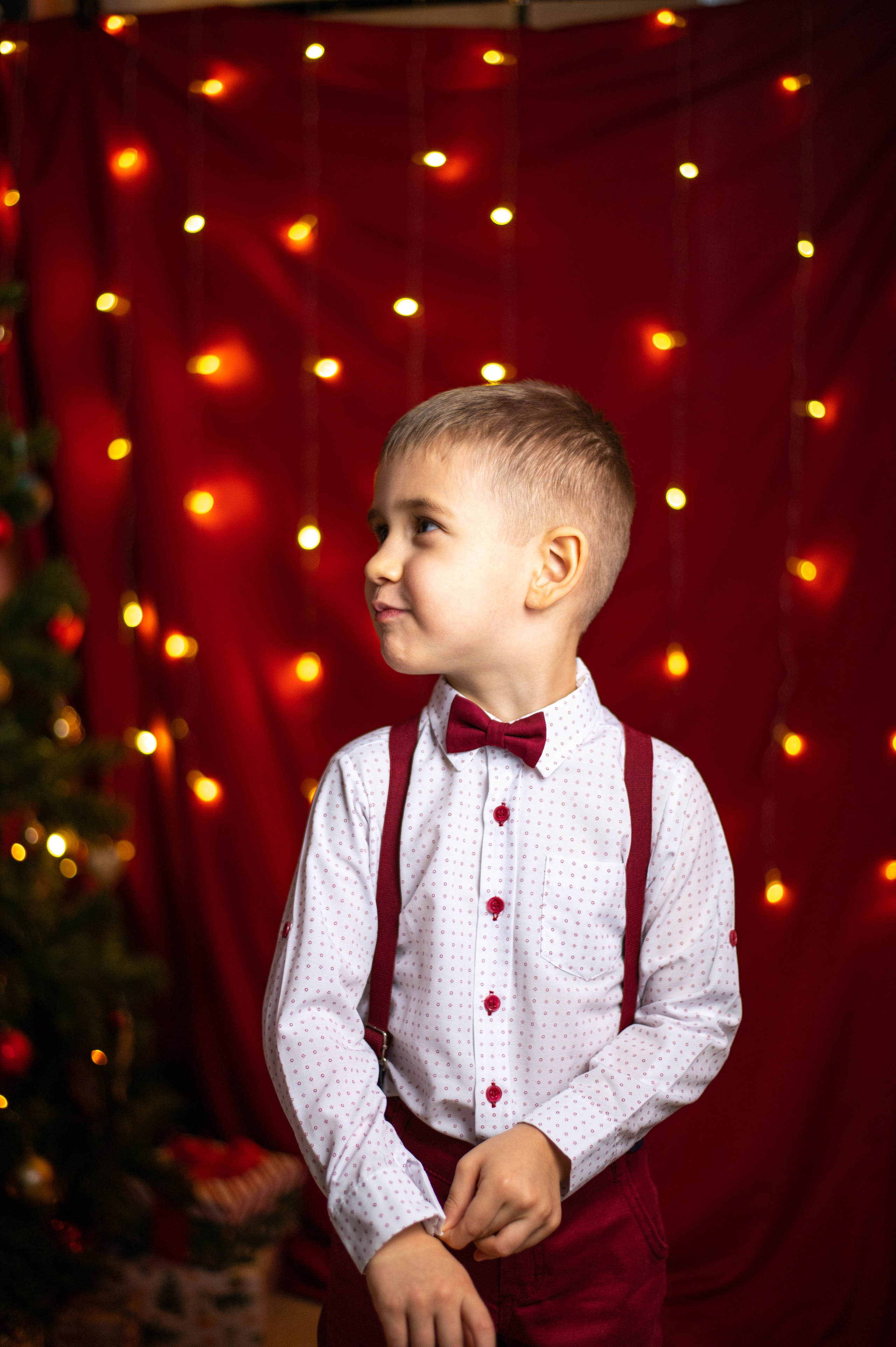 Новогодняя. Фотограф Санкт-Петербург | Дарья Першина