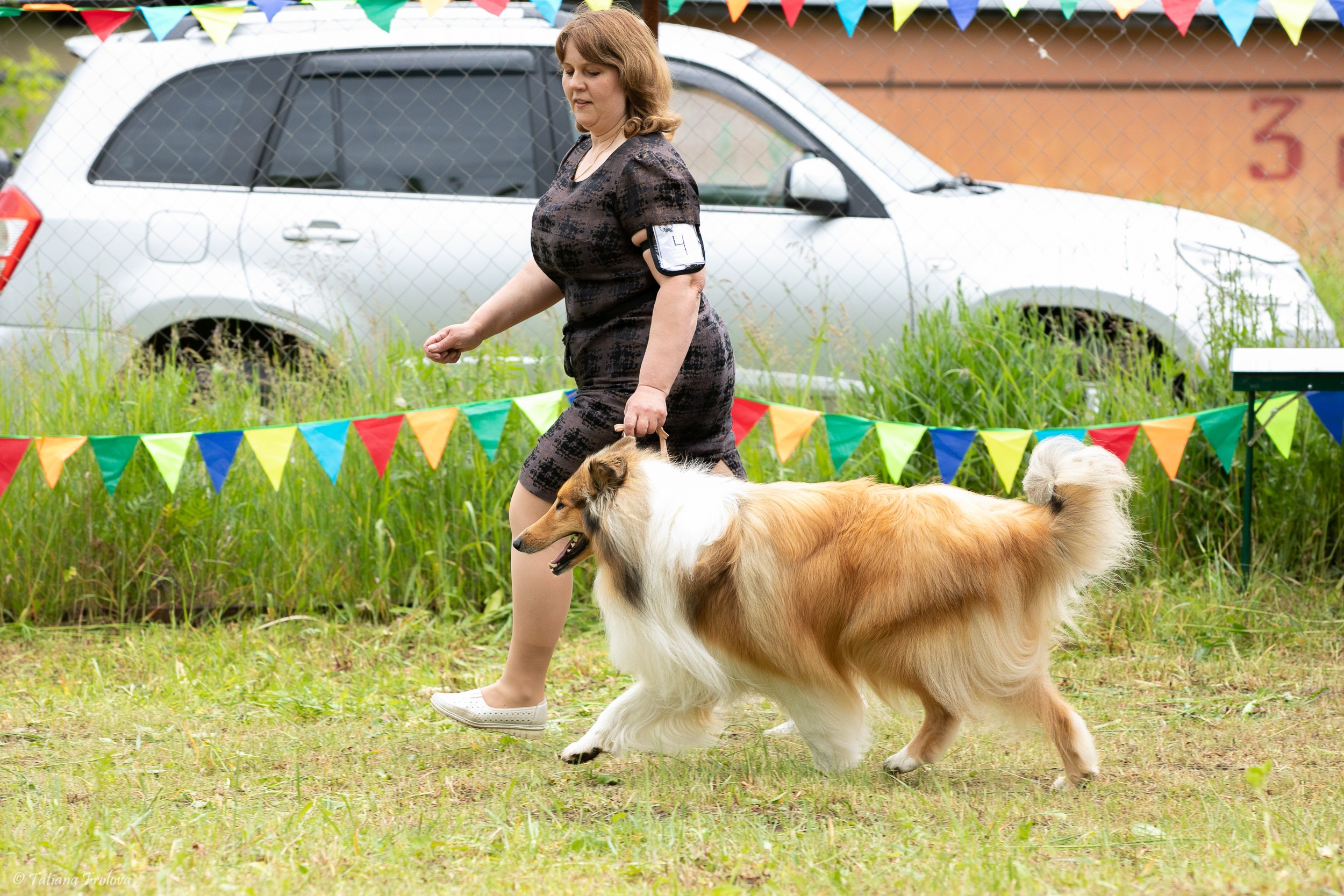 Фотосопровождение выставки собак в Московской области и Москве. Фотограф-анималист в Москве и Московской области Татьяна Фролова