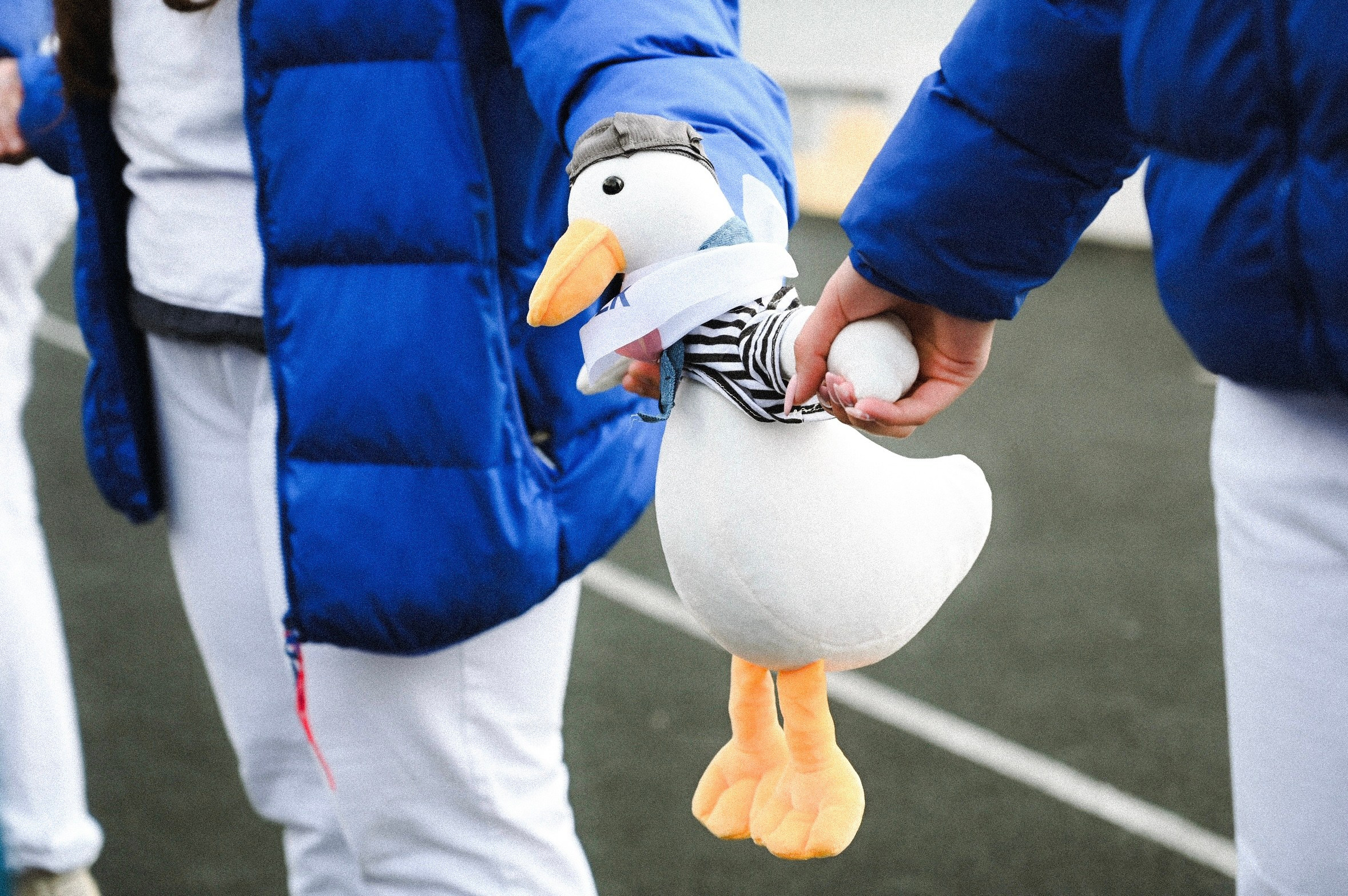 Репортаж. Таня Чернова