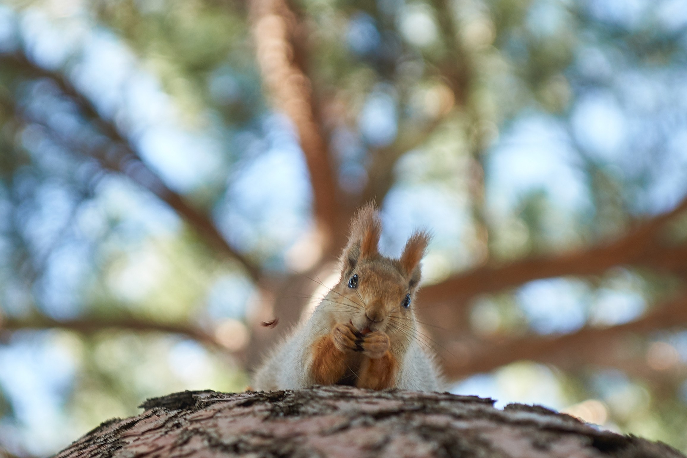Геленджик. Фотограф Владимир Артамонов